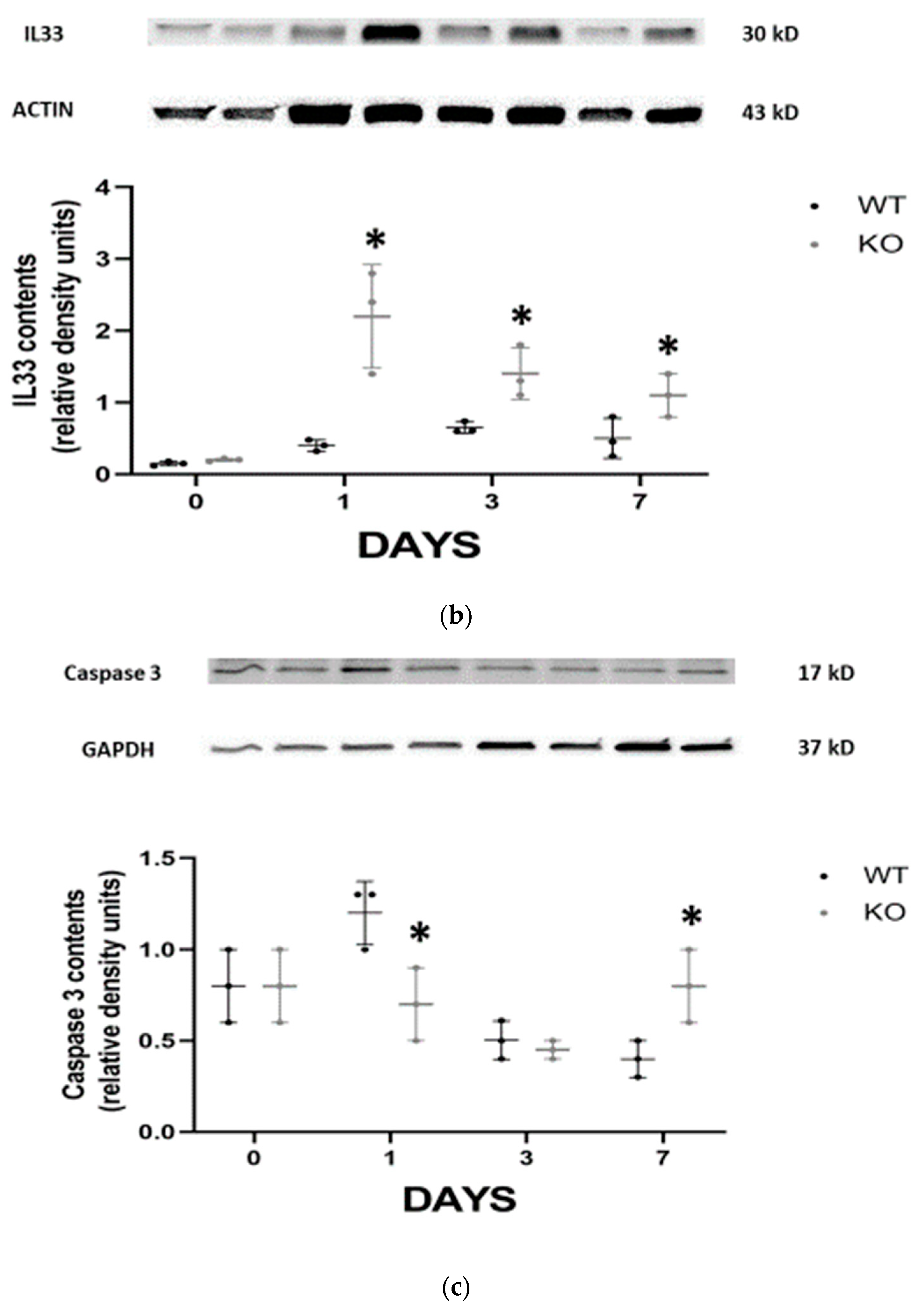 Jpm 13 01134 g002c Jpm 13 01134 g002c