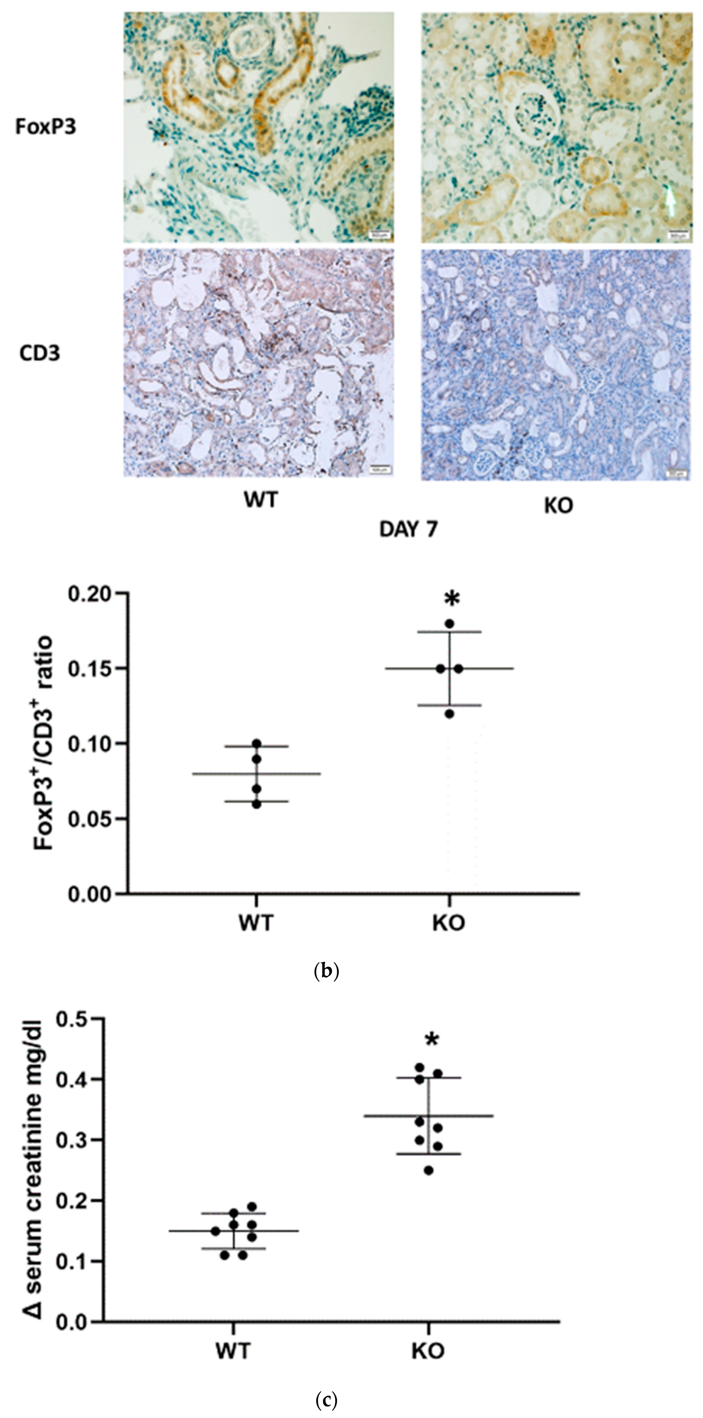 Jpm 13 01134 g003b Jpm 13 01134 g003b