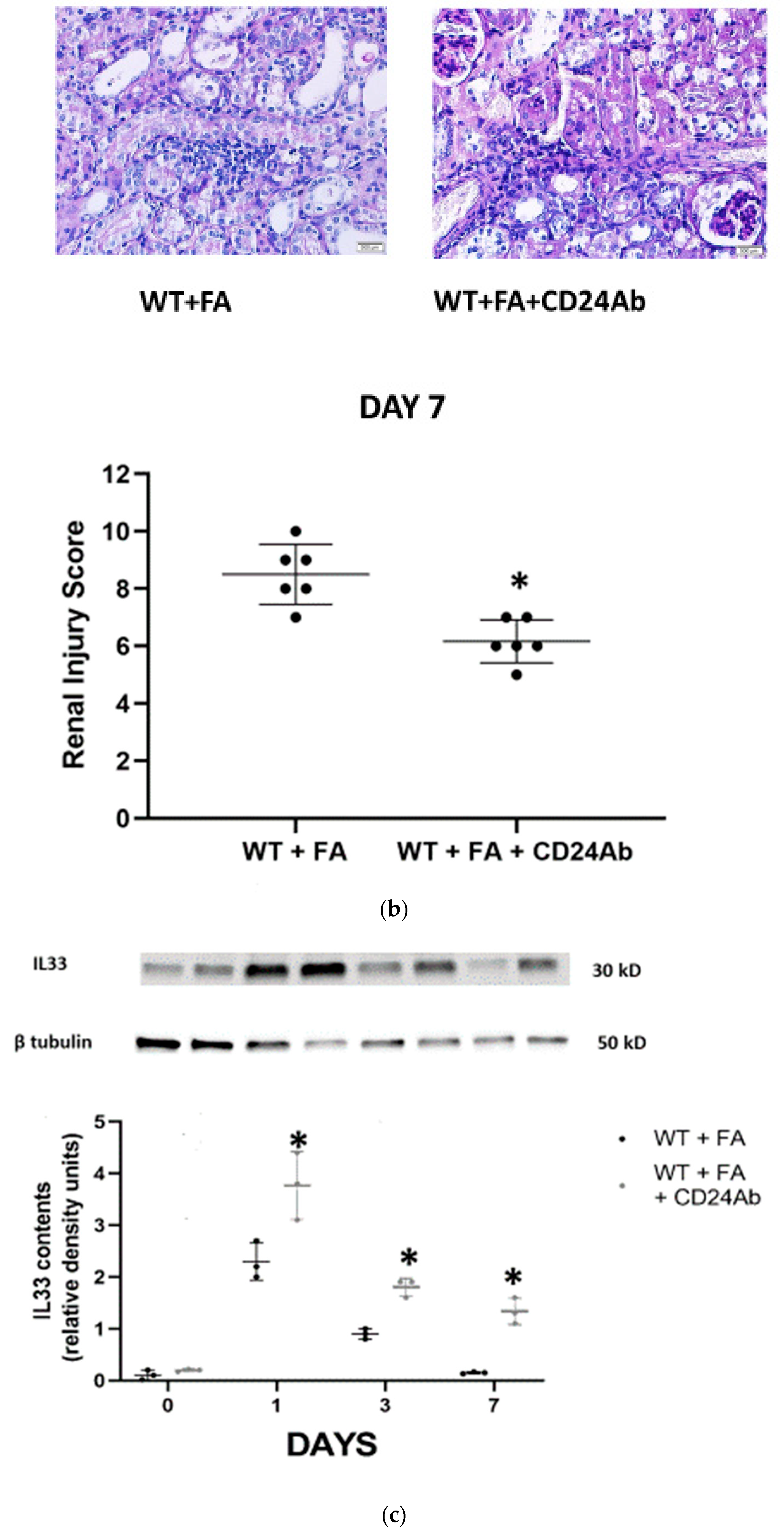 Jpm 13 01134 g004b Jpm 13 01134 g004b