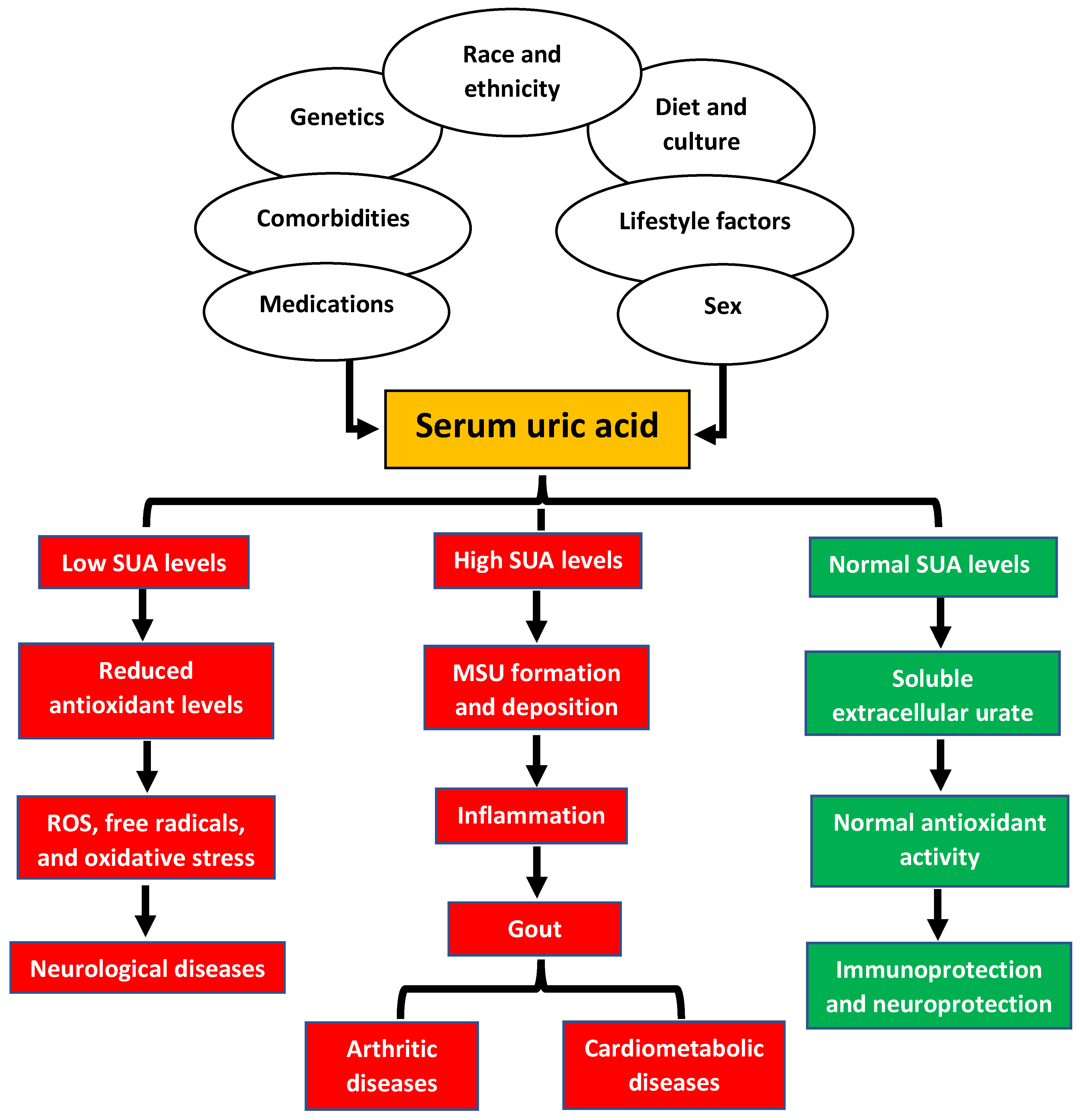 Jpm 13 01409 g001 Jpm 13 01409 g001