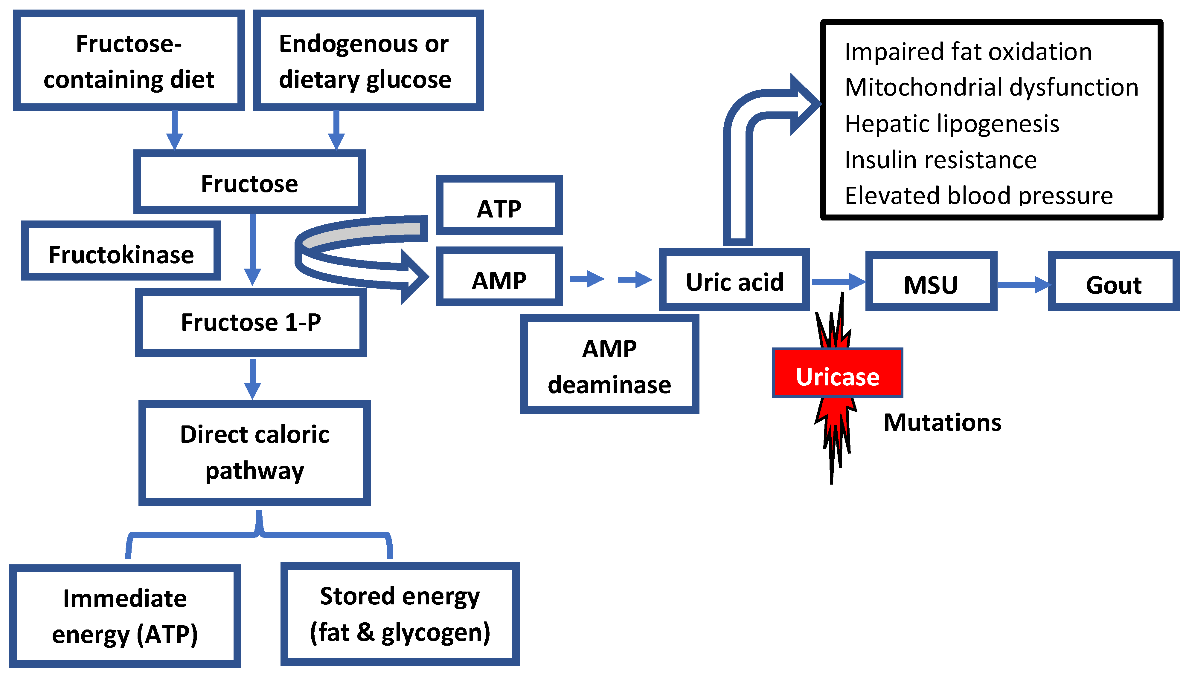 Jpm 13 01409 g002 Jpm 13 01409 g002