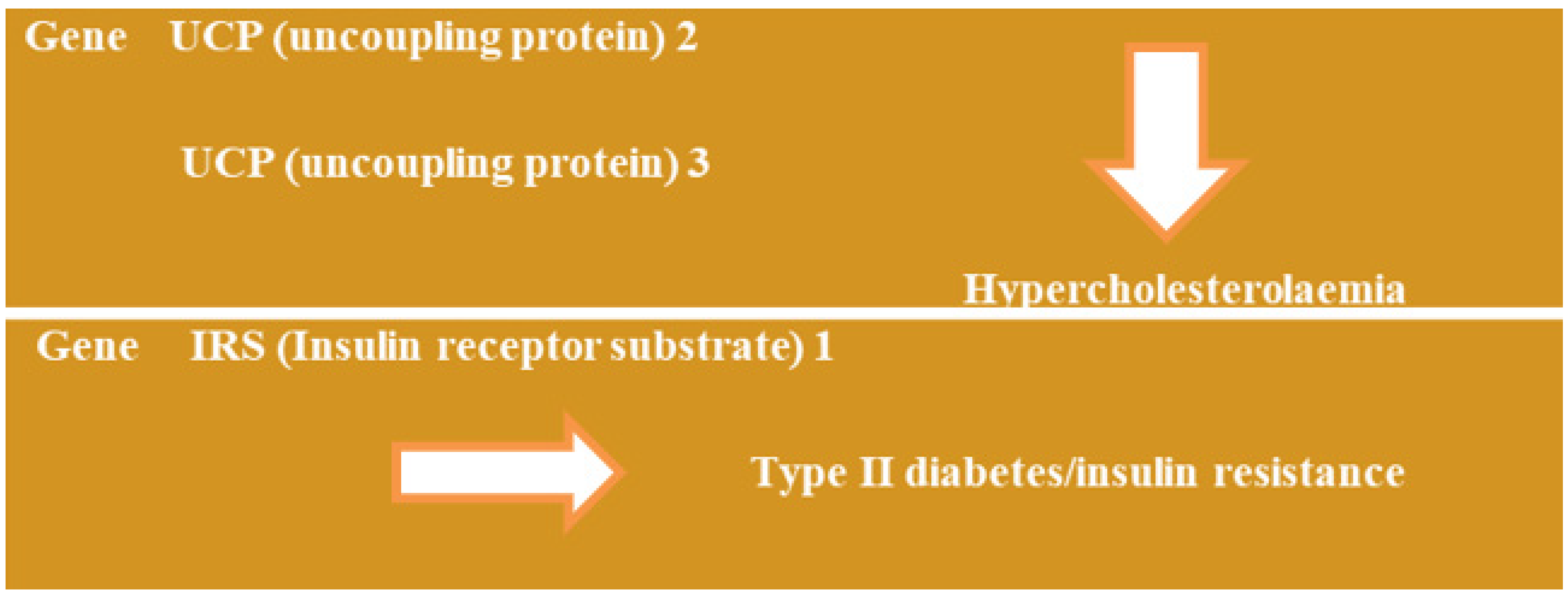 Jpm 14 00032 g006 Jpm 14 00032 g006