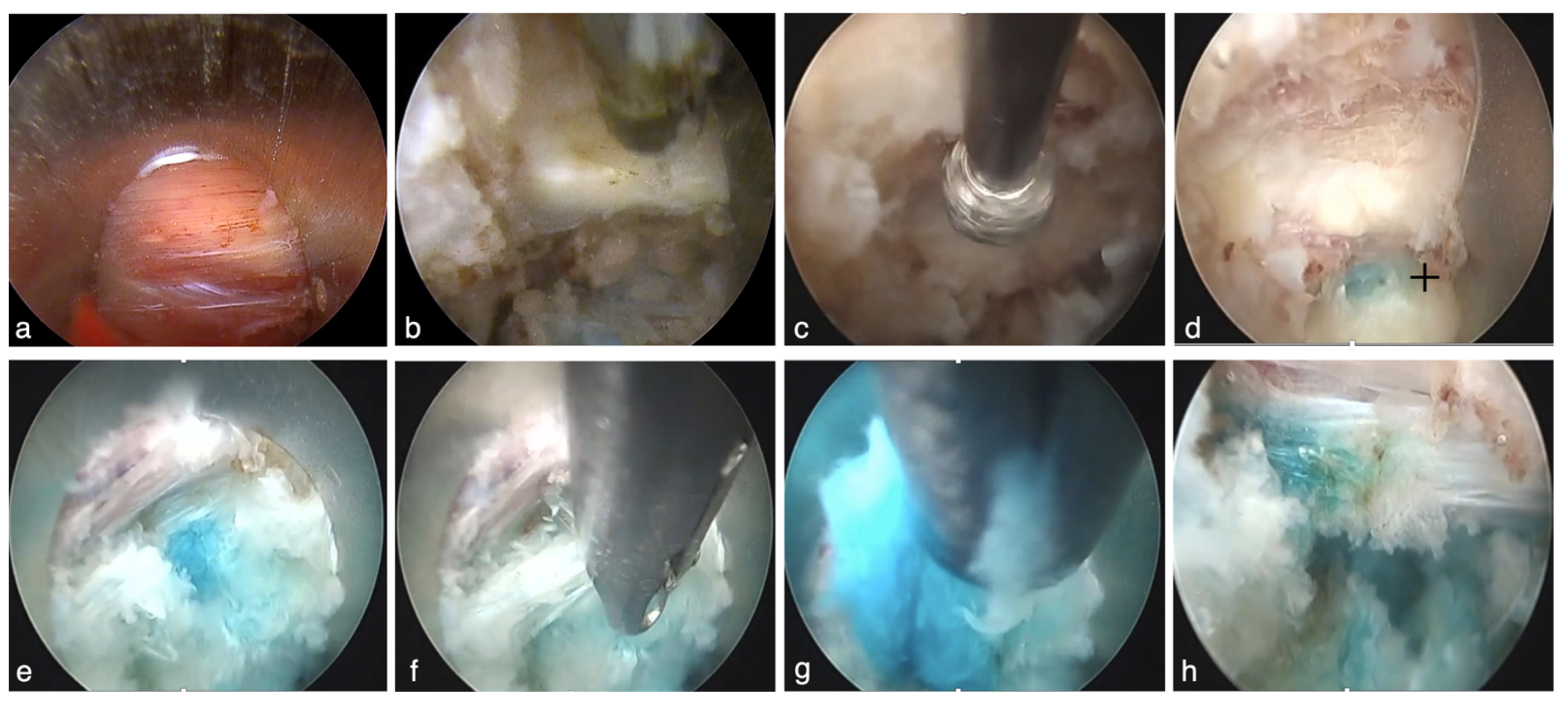 Jpm 14 00679 g002 Jpm 14 00679 g002