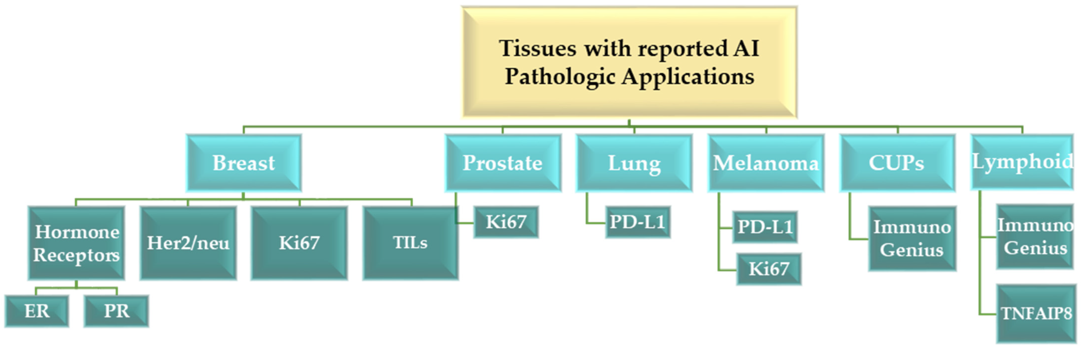 Jpm 14 00693 g001 Jpm 14 00693 g001