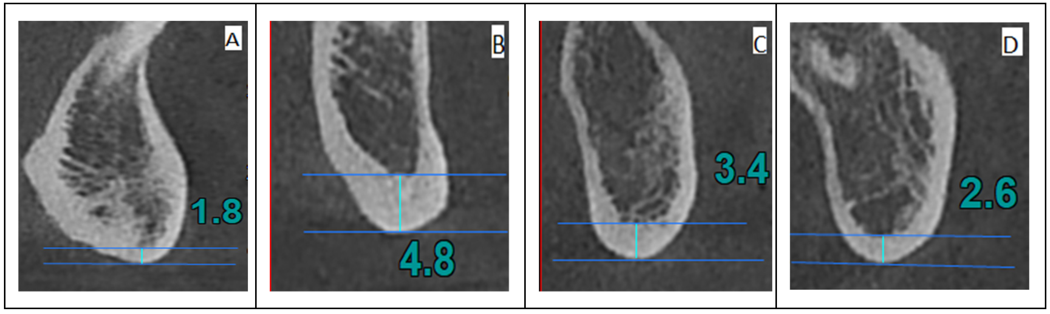 Jpm 14 00843 g001 Jpm 14 00843 g001
