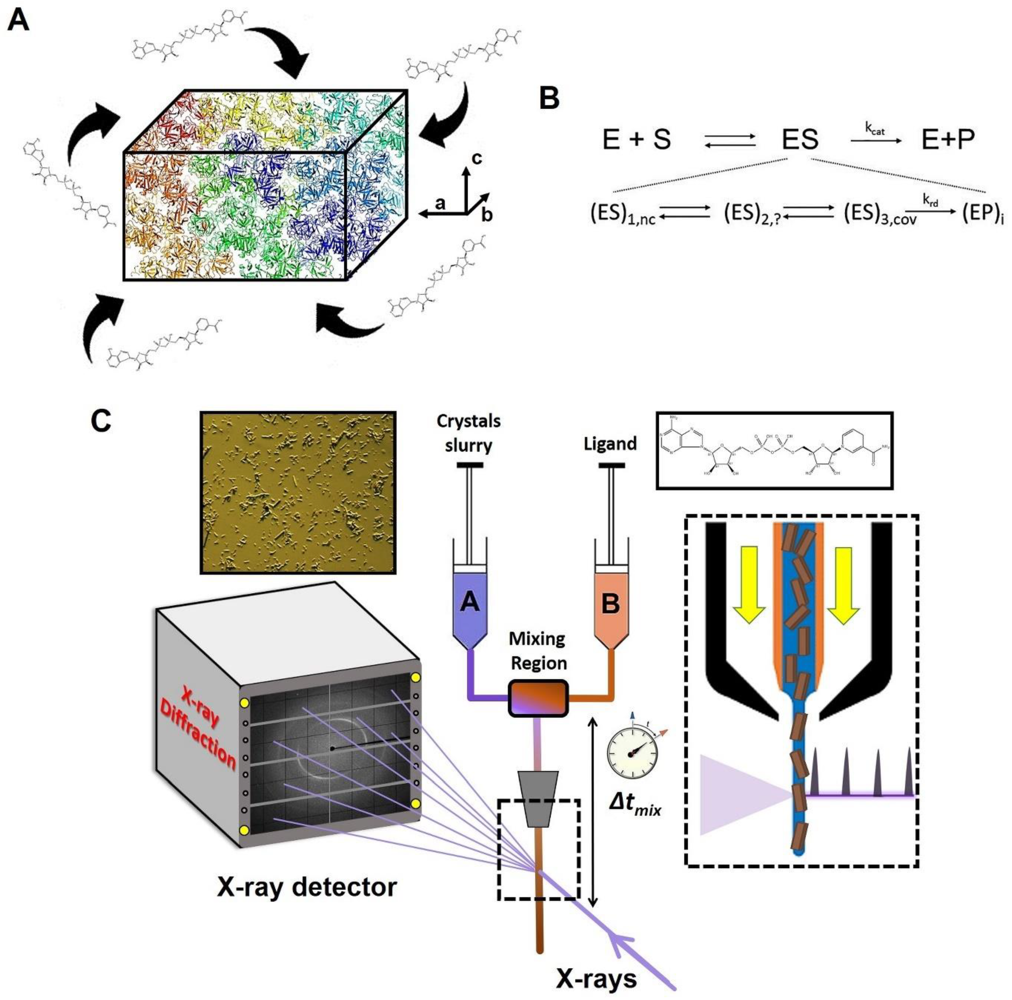 Jpm 14 00909 g002 Jpm 14 00909 g002