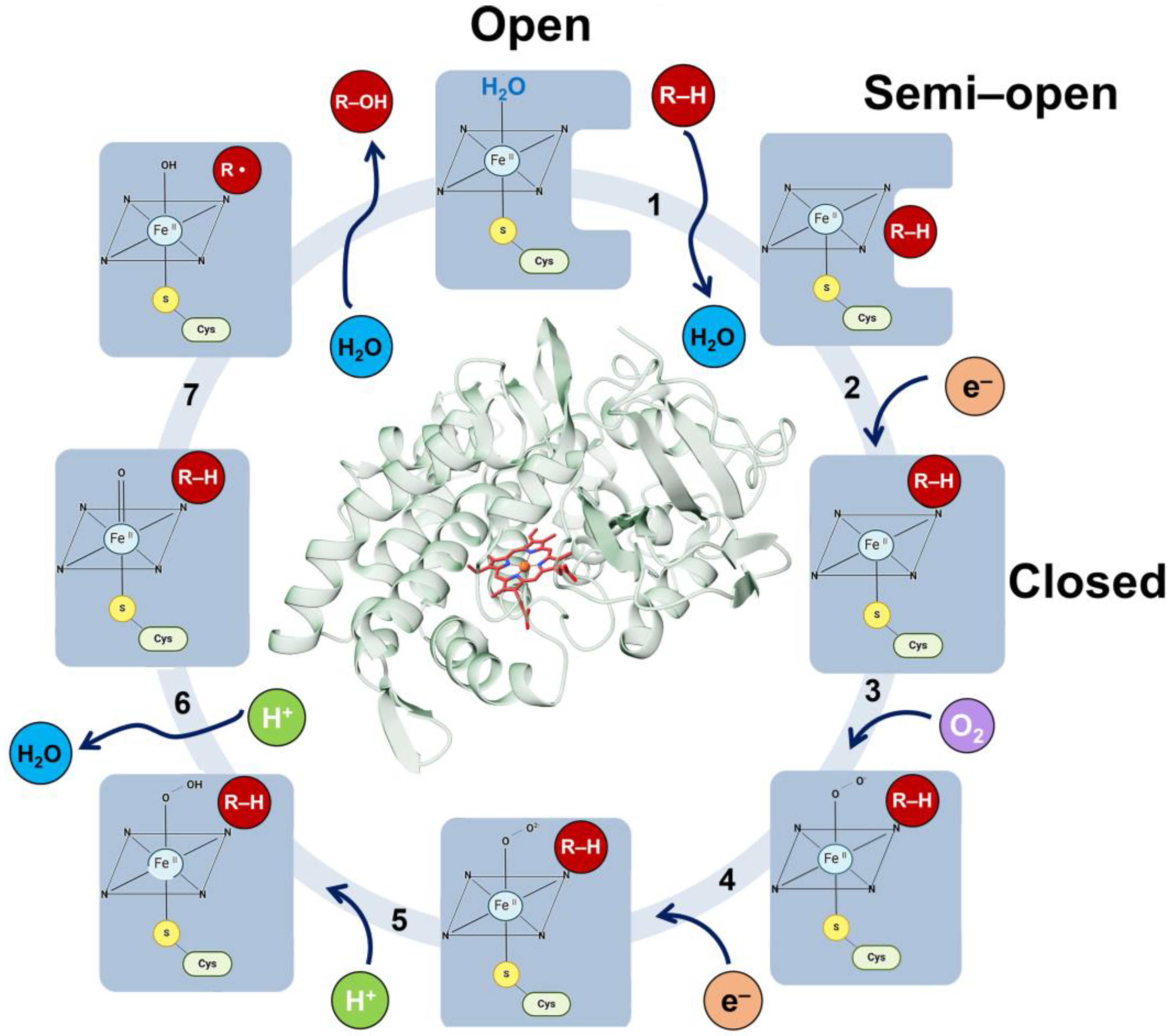 Jpm 14 00909 g006 Jpm 14 00909 g006