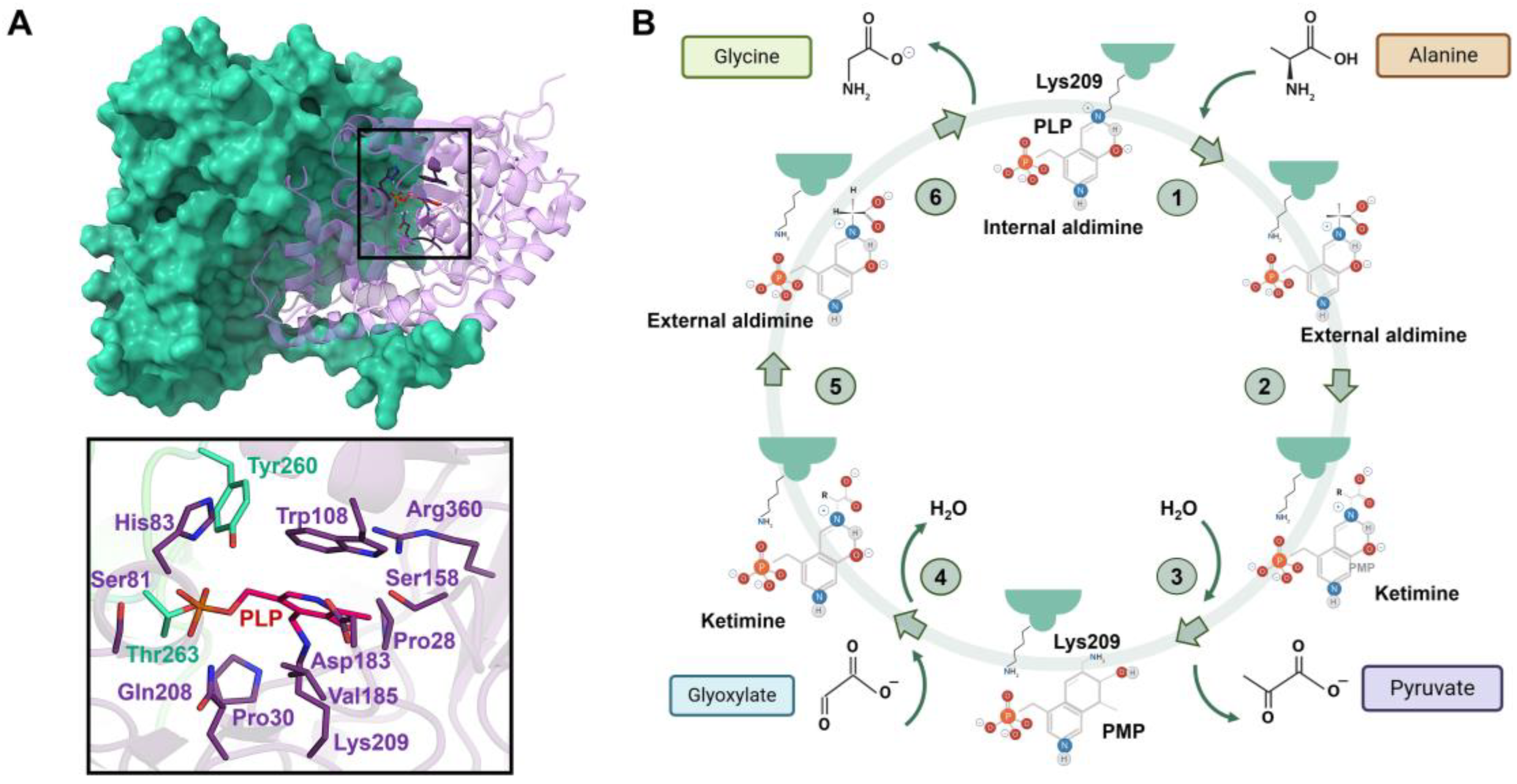 Jpm 14 00909 g007 Jpm 14 00909 g007