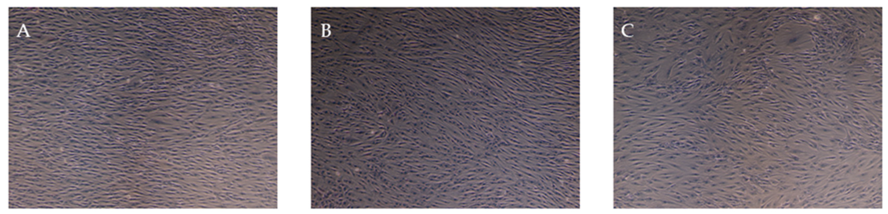 Jpm 14 01075 g004
