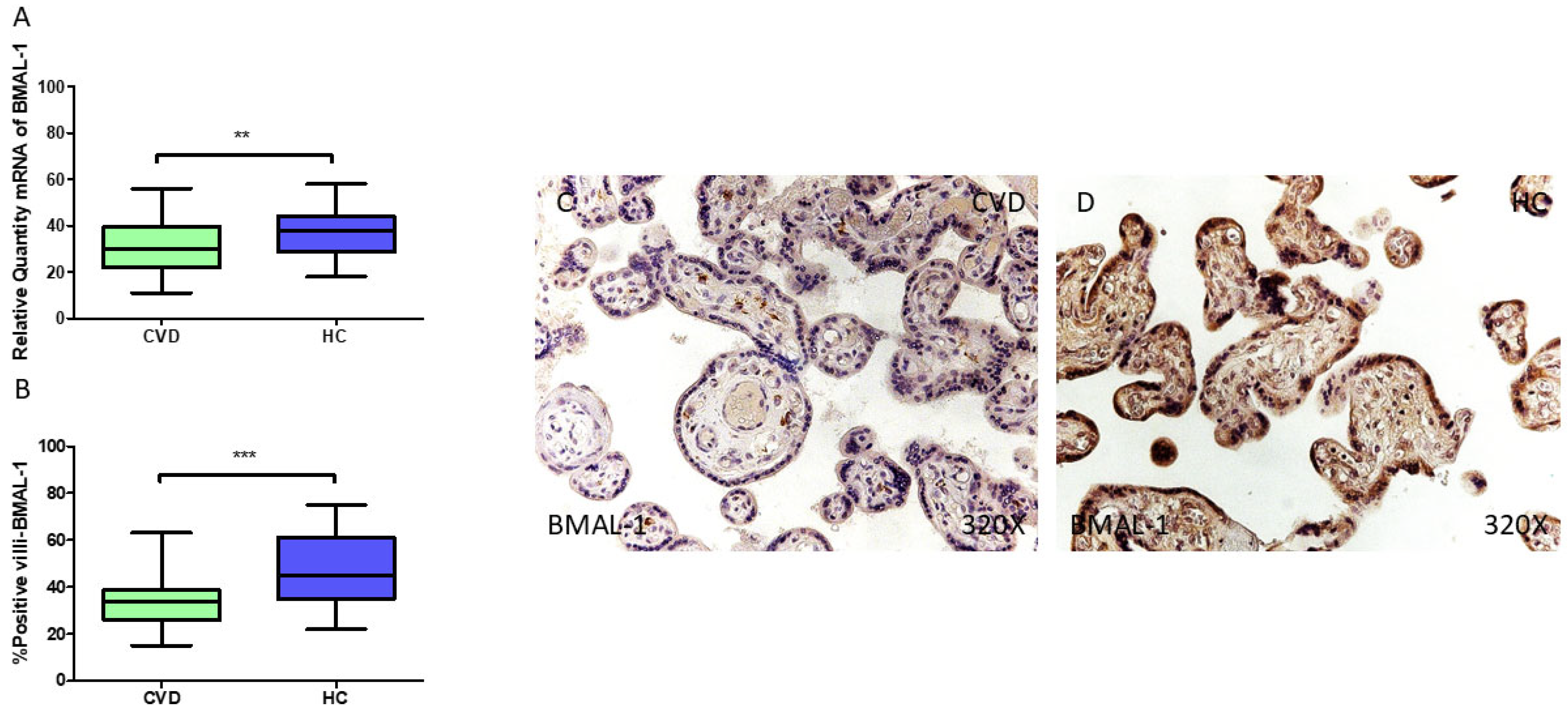 Jpm 15 00107 g002 Jpm 15 00107 g002