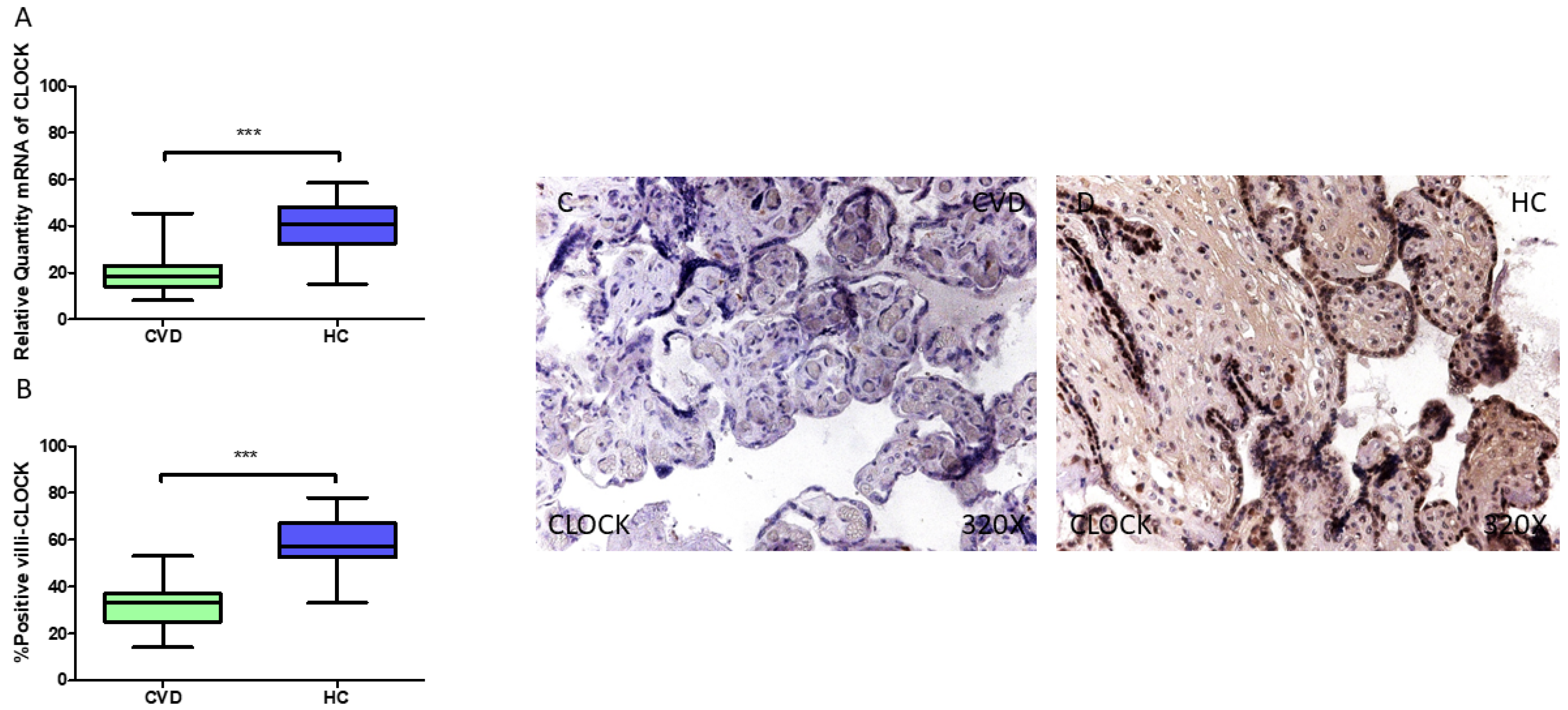 Jpm 15 00107 g003 Jpm 15 00107 g003