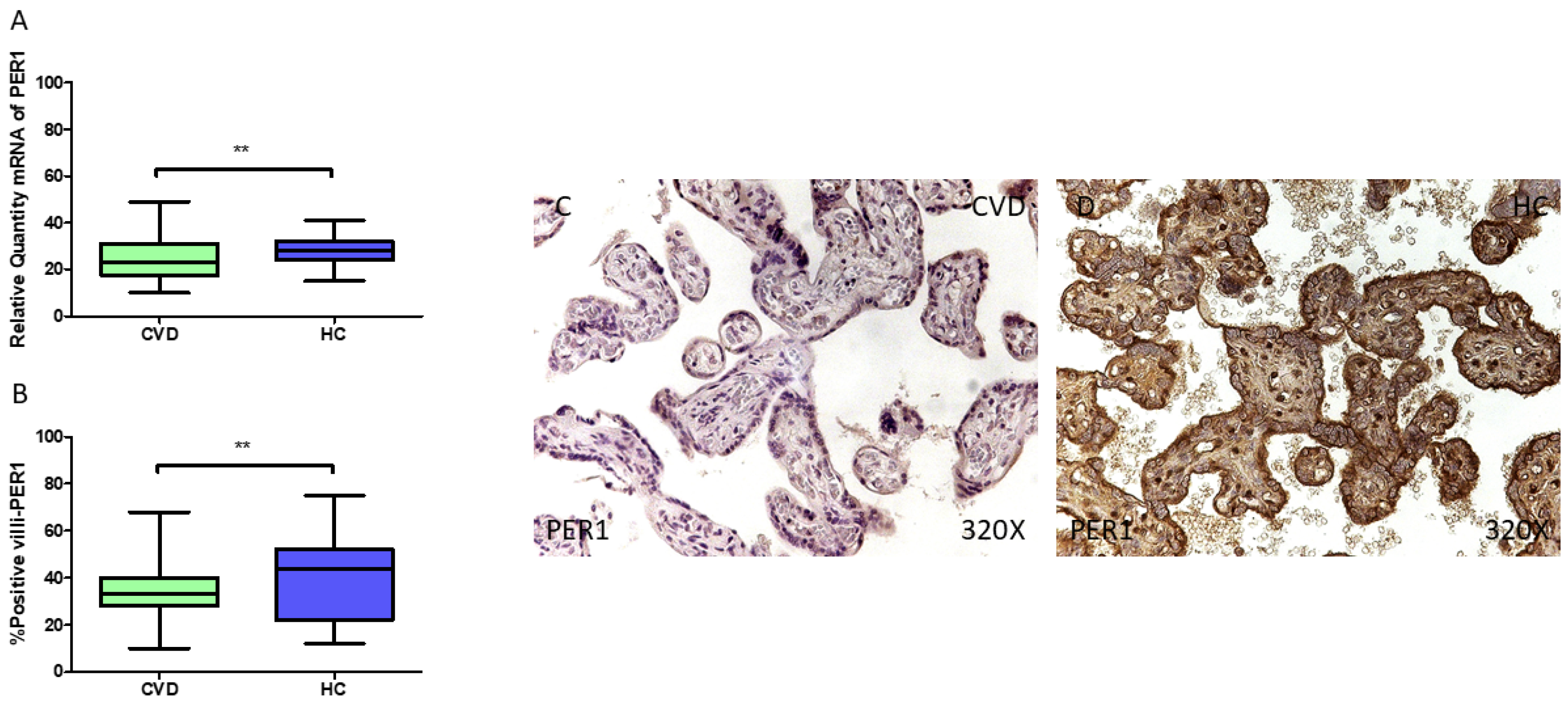 Jpm 15 00107 g004 Jpm 15 00107 g004