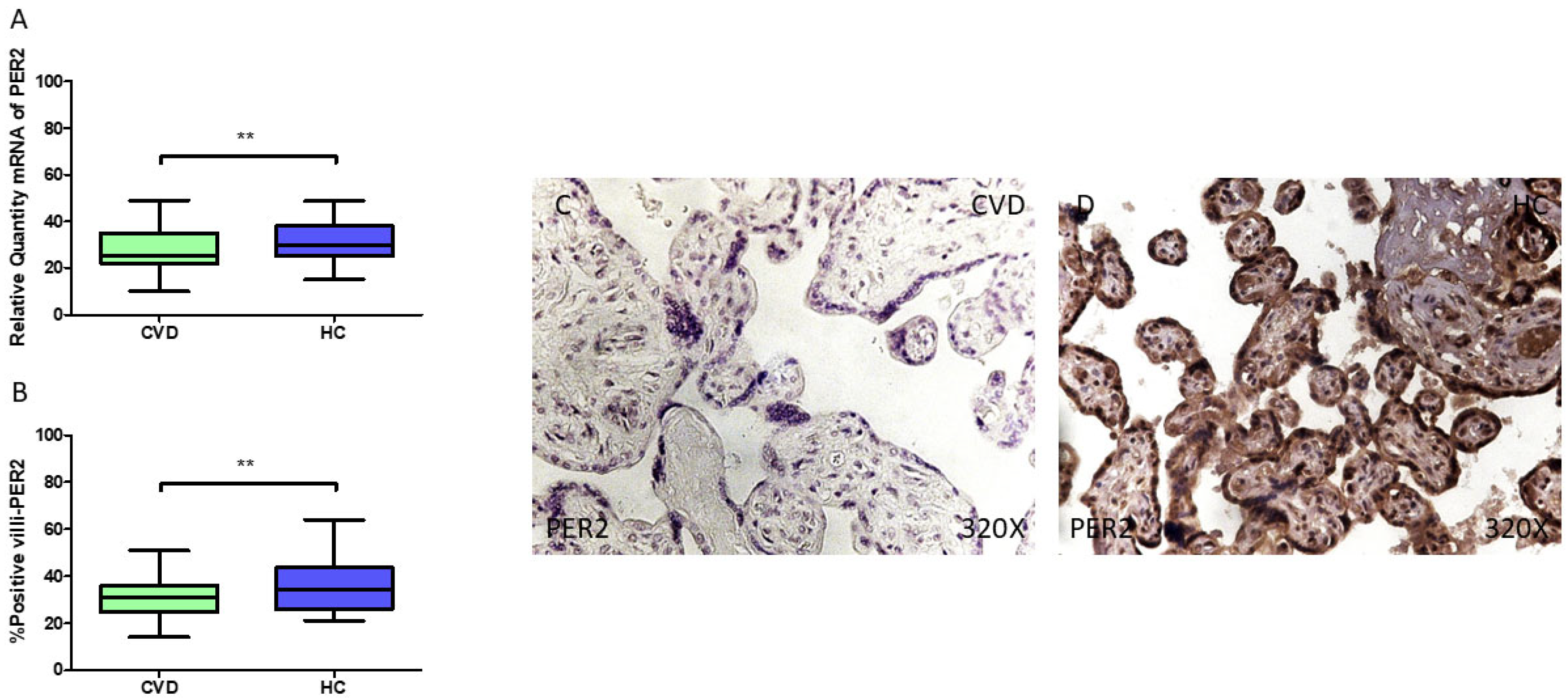 Jpm 15 00107 g005 Jpm 15 00107 g005