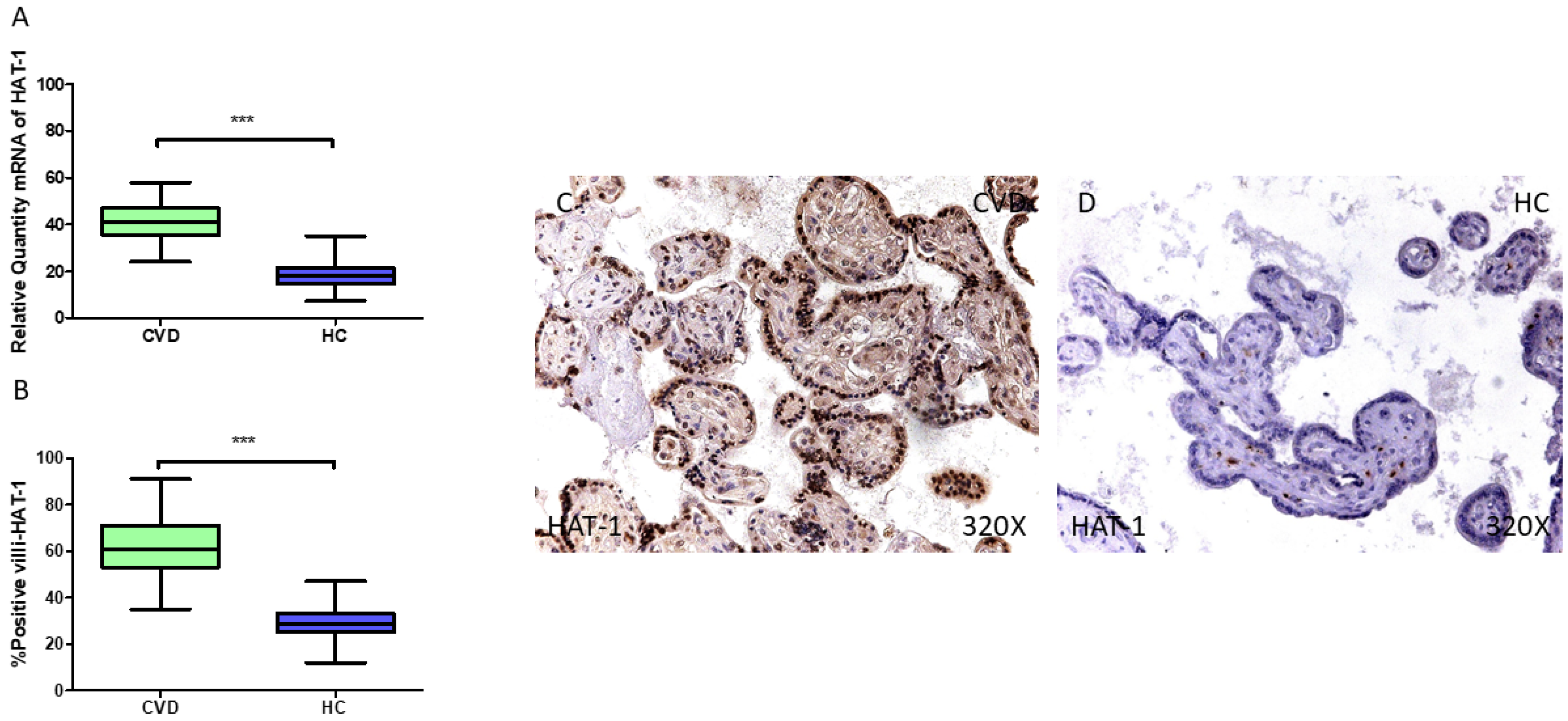 Jpm 15 00107 g006 Jpm 15 00107 g006