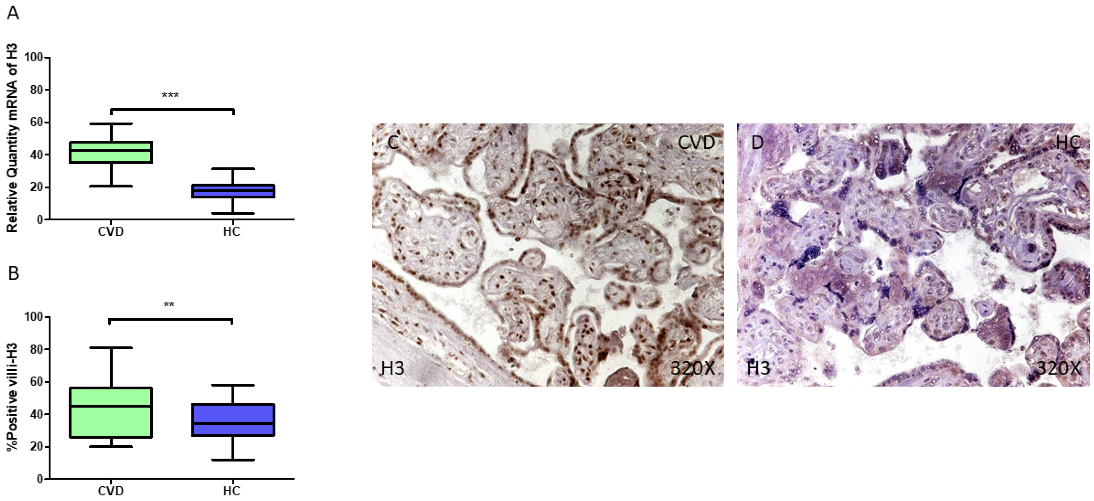 Jpm 15 00107 g007 Jpm 15 00107 g007