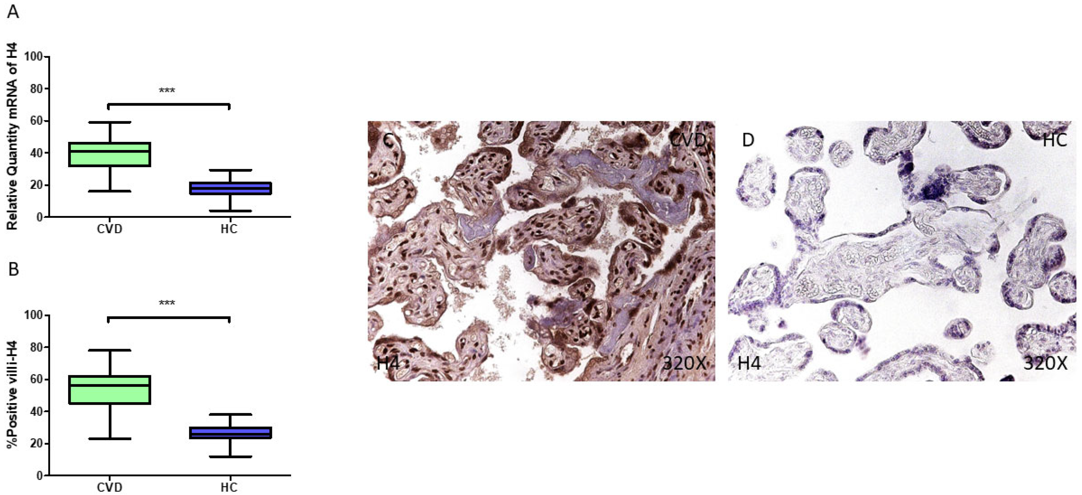 Jpm 15 00107 g008 Jpm 15 00107 g008