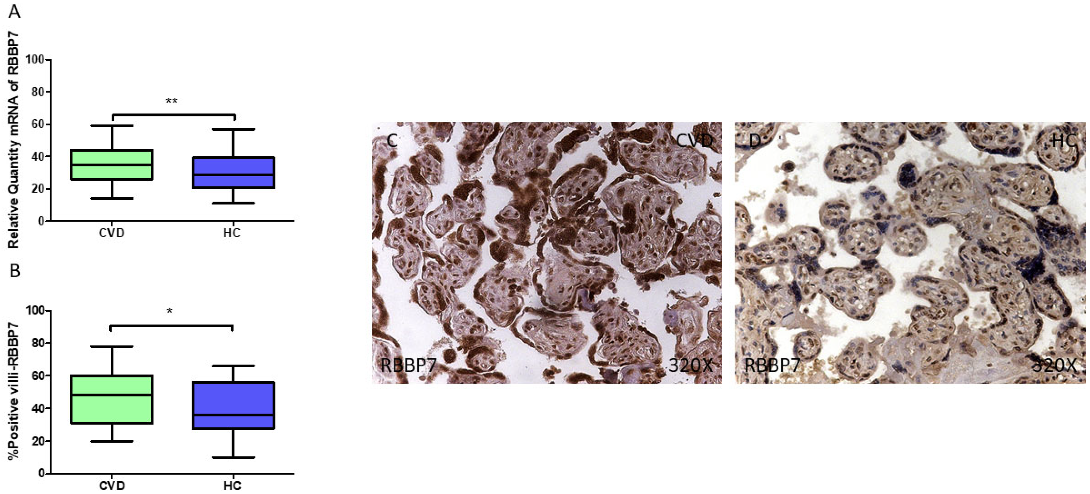 Jpm 15 00107 g010 Jpm 15 00107 g010