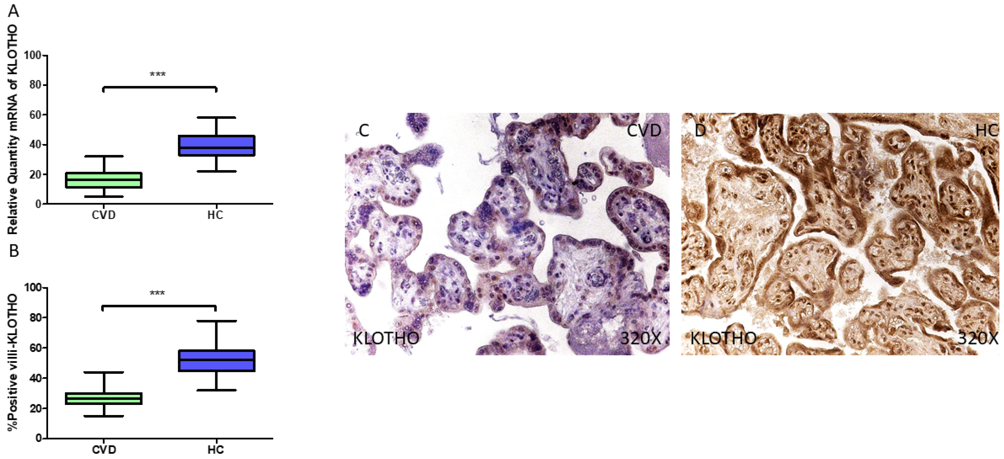 Jpm 15 00107 g011 Jpm 15 00107 g011