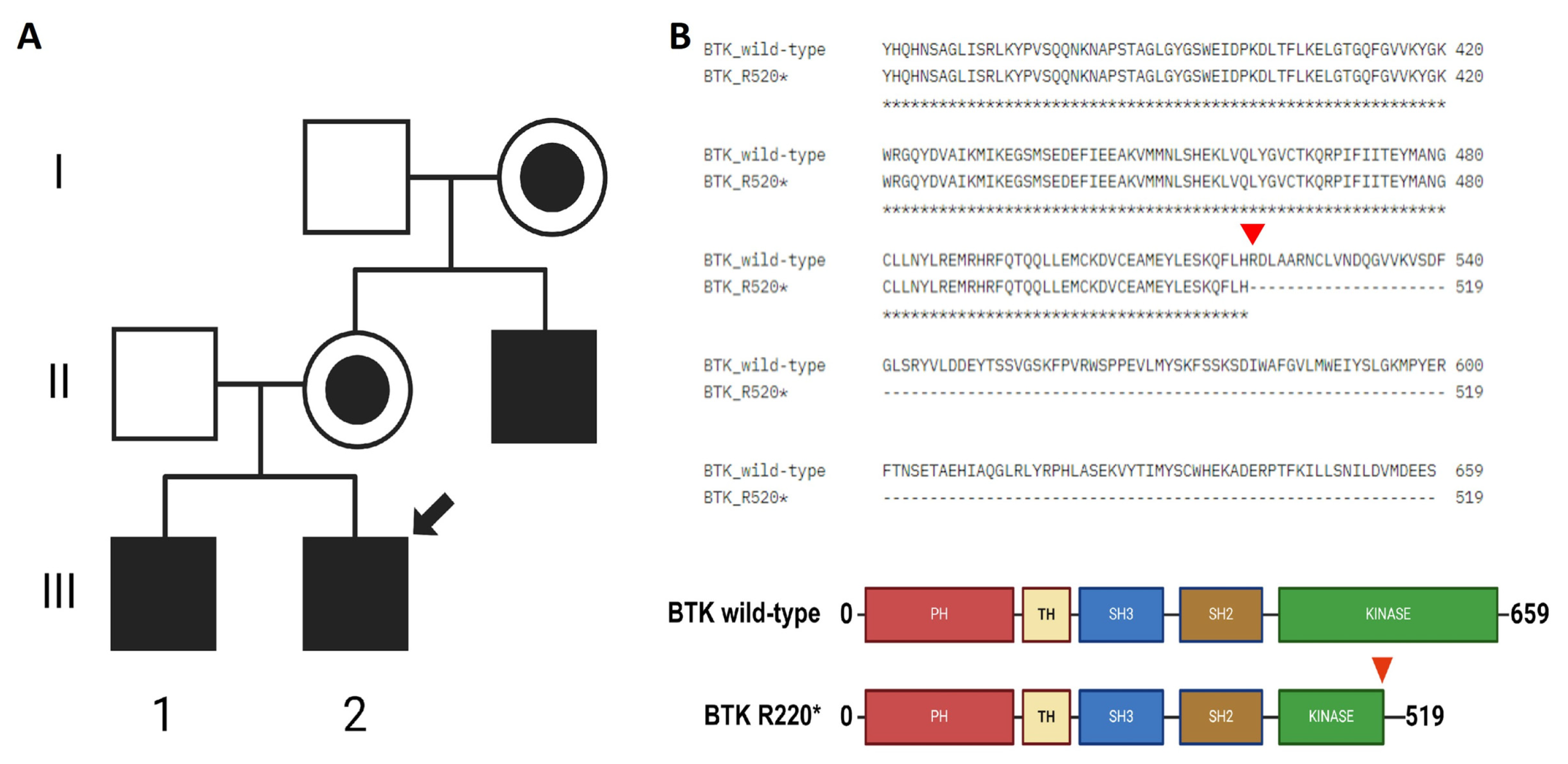 Jpm 15 00365 g001 Jpm 15 00365 g001