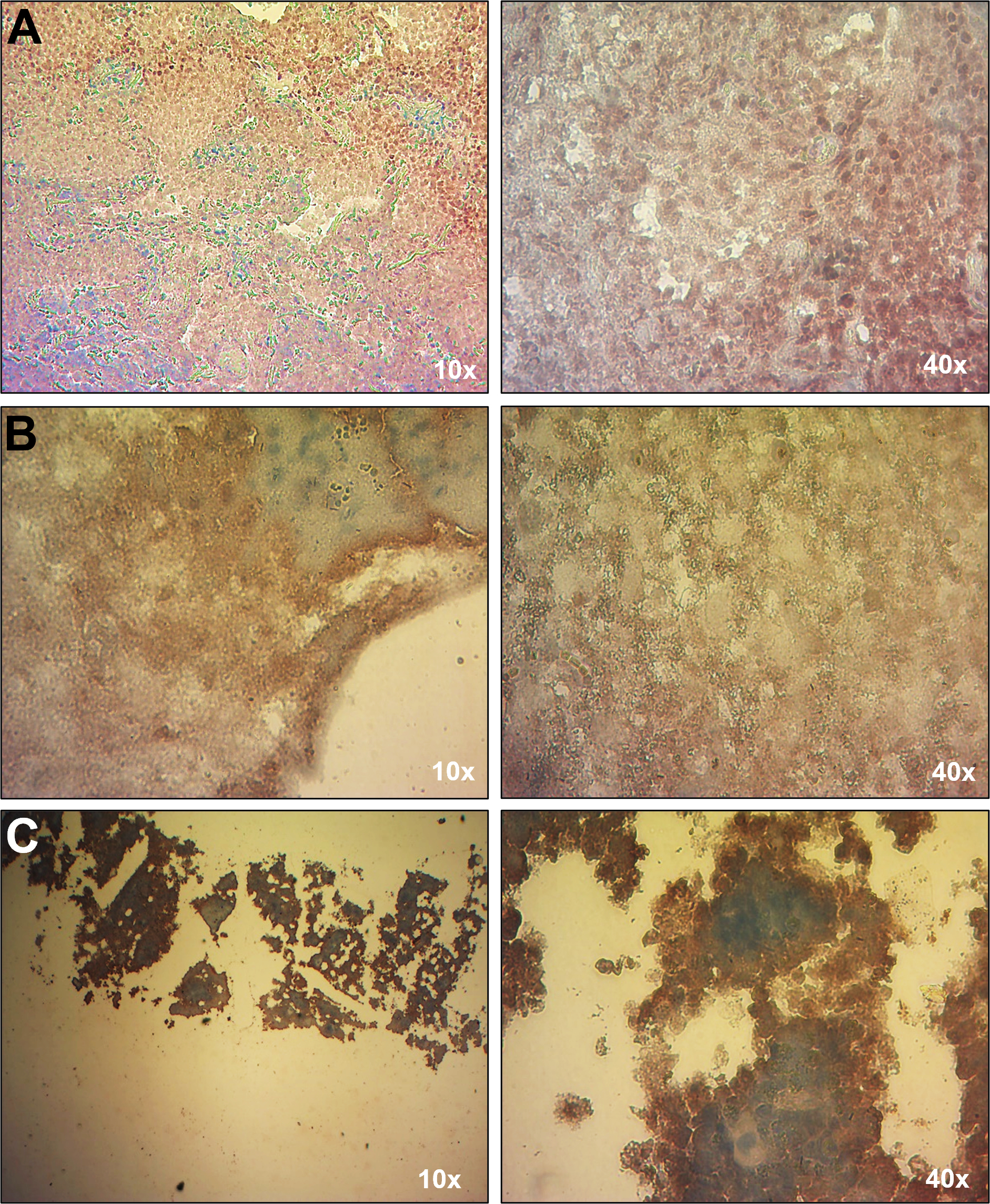 Jpm 15 00365 g002 Jpm 15 00365 g002