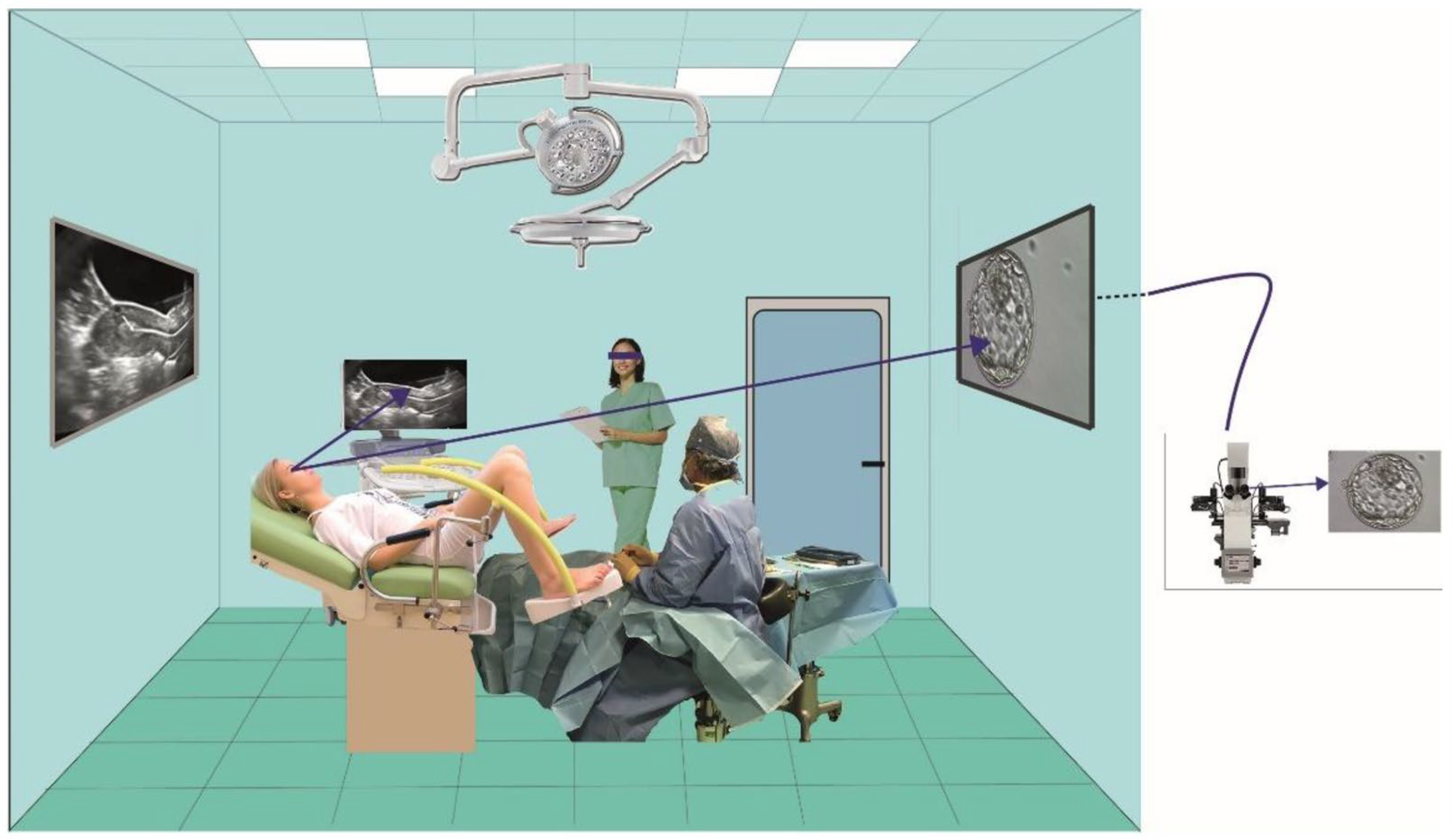 Jpm 15 00374 g001 Jpm 15 00374 g001