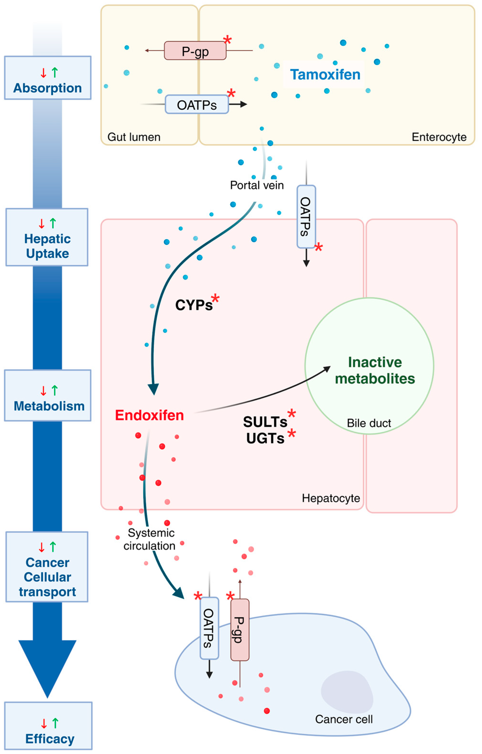 Jpm 15 00505 g001 Jpm 15 00505 g001