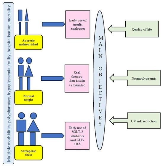 The novel mechanisms of action of SGLT-2 inhibitors and the GLP-1RA lower their risk of inducing hypoglycaemia. SGLT-2—sodium glucose cotransporter, GLP1-RA—glucagon like peptide receptor agonist, PCT—proximal convoluted tubule.