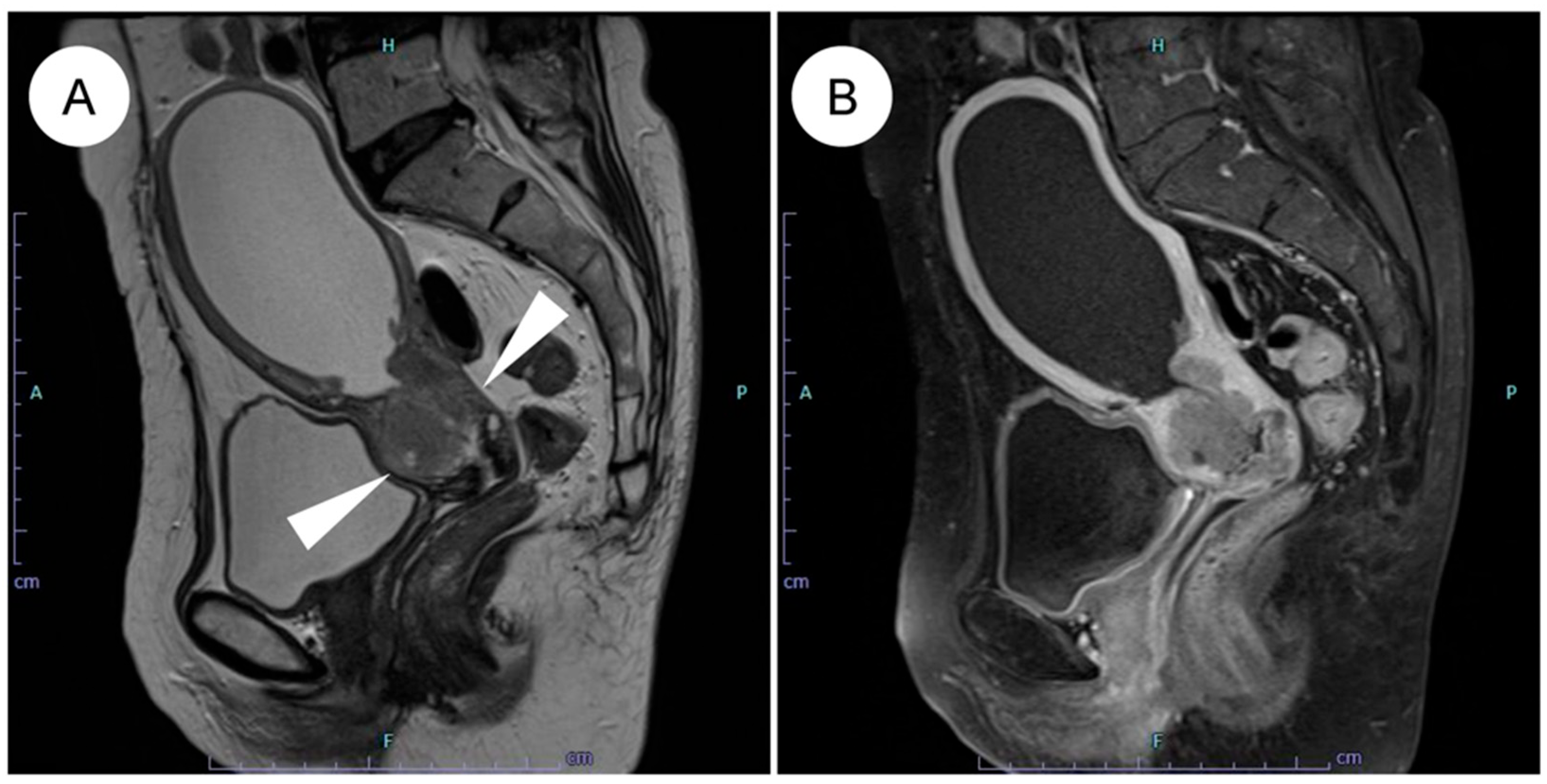 Jpm 16 00072 g001 Jpm 16 00072 g001