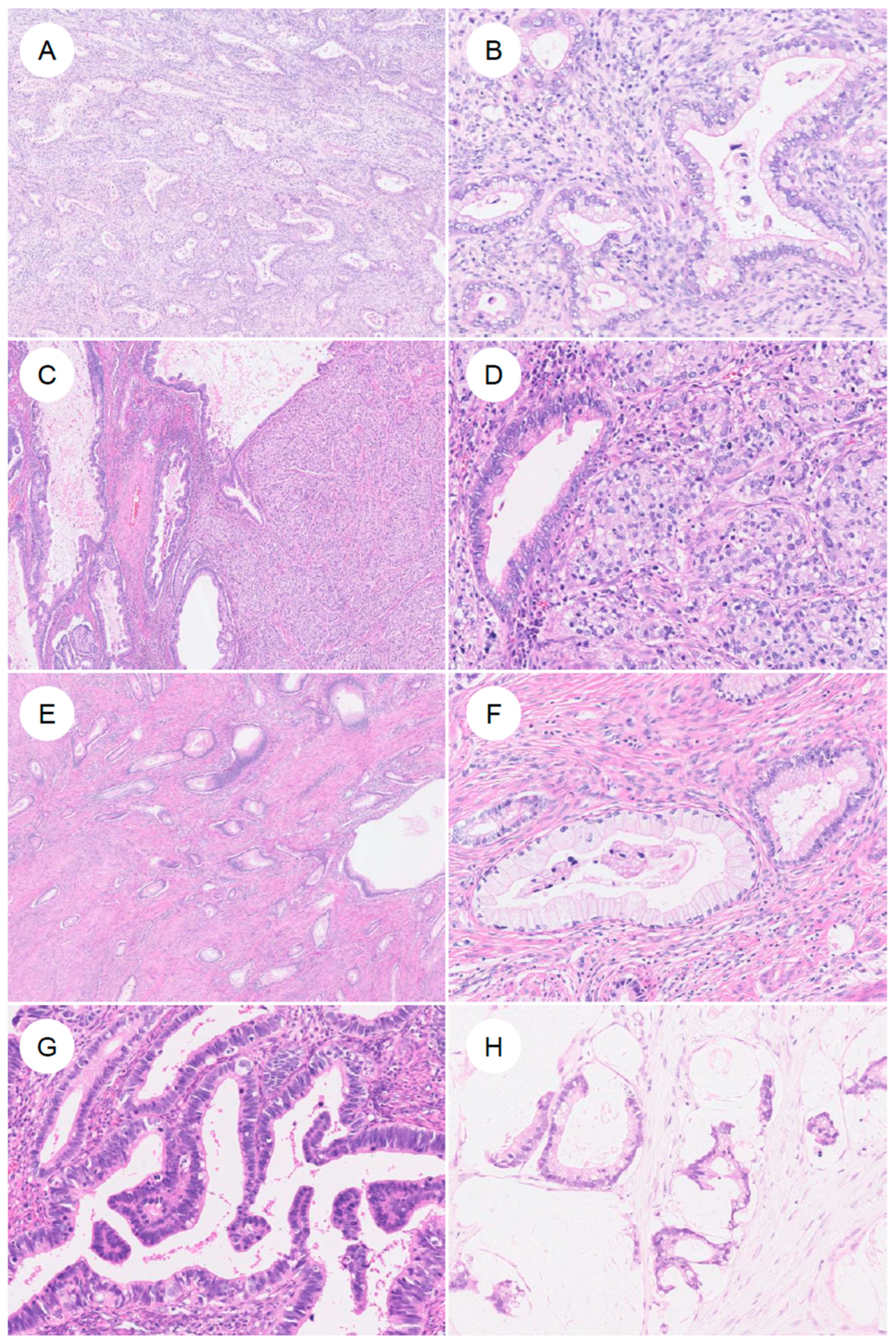 Jpm 16 00072 g003 Jpm 16 00072 g003
