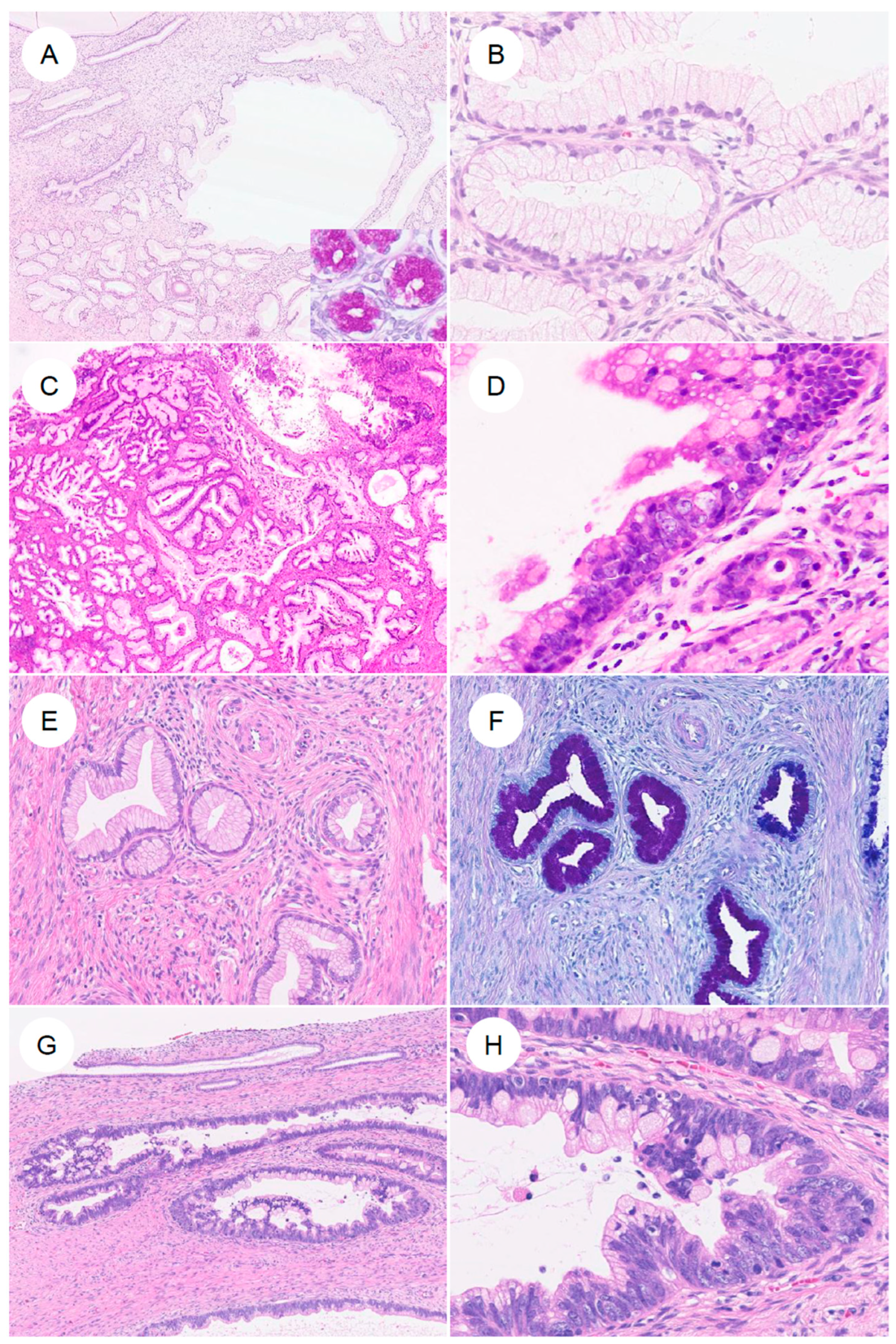 Jpm 16 00072 g004 Jpm 16 00072 g004