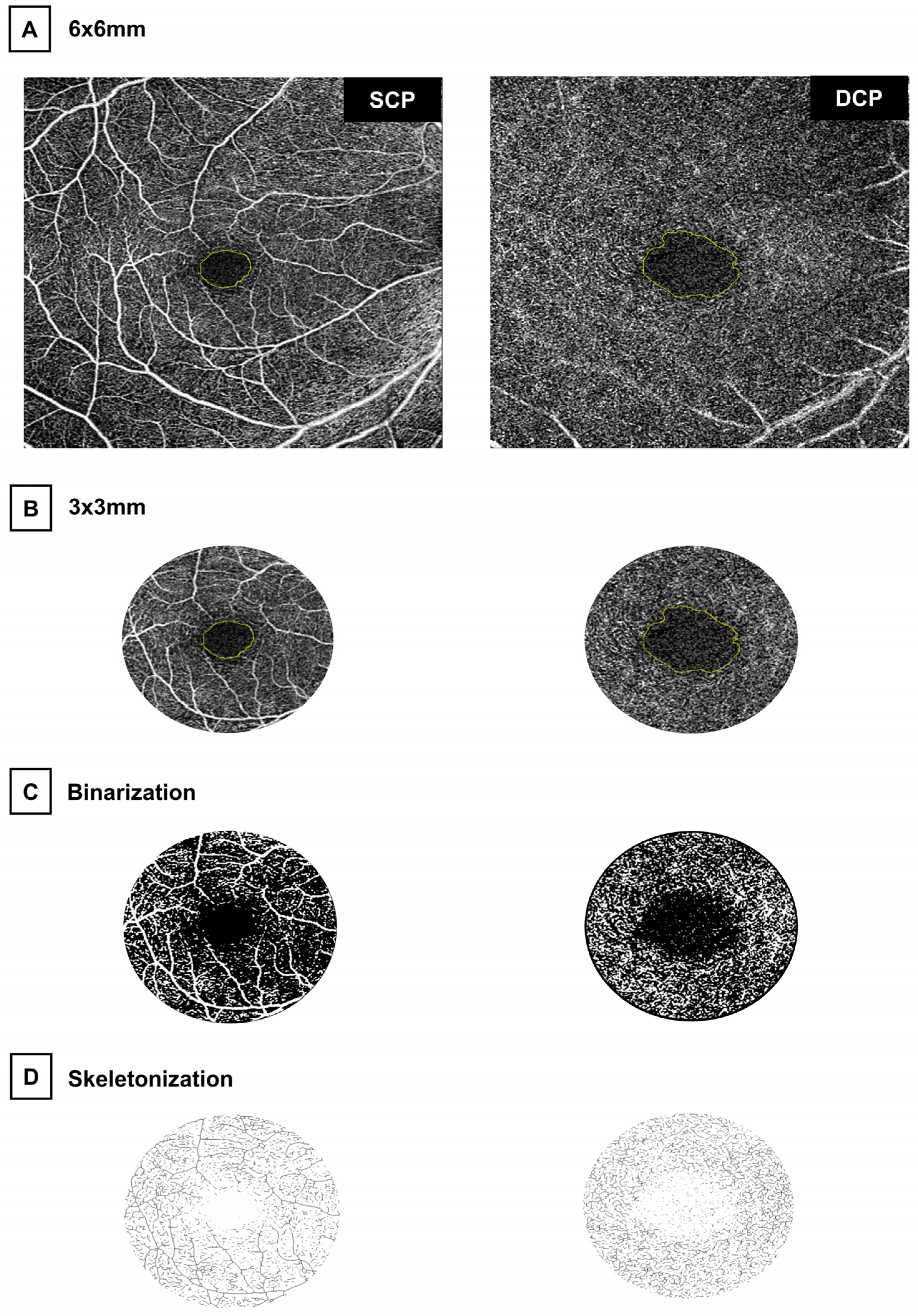 Jpm 16 00320 g001 Jpm 16 00320 g001