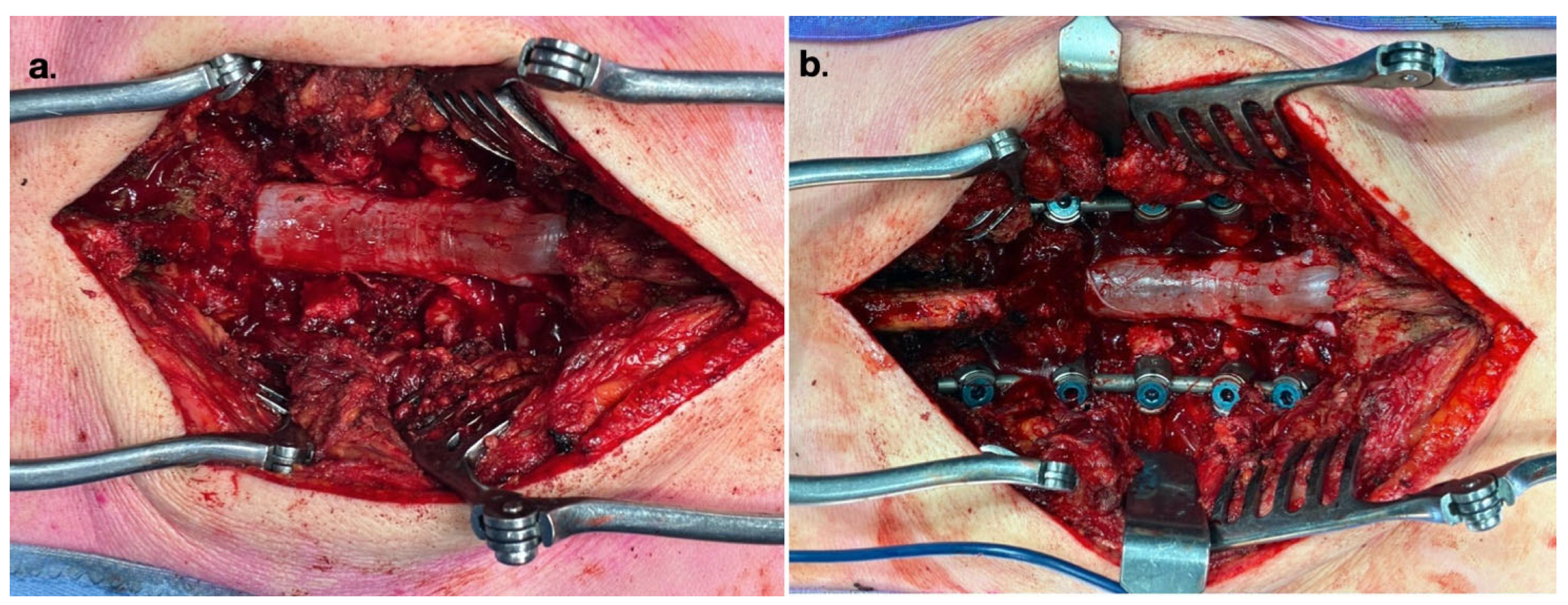 Jpm 16 00443 g001 Jpm 16 00443 g001