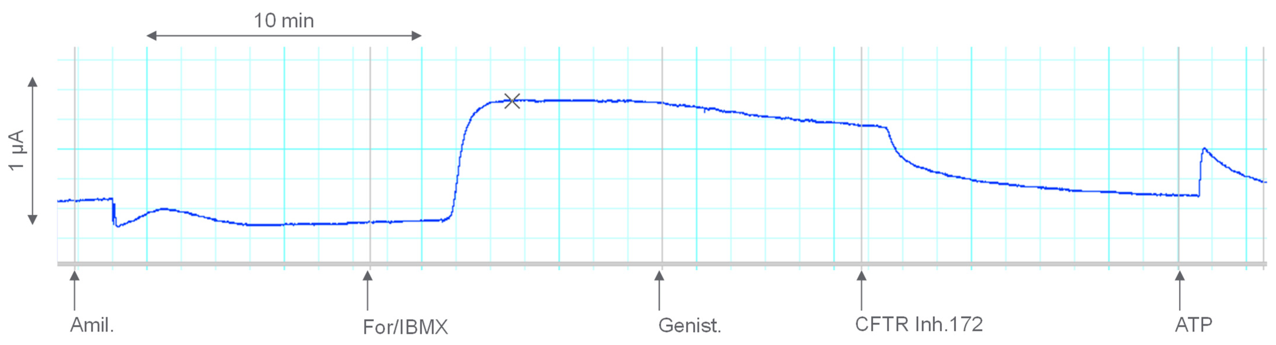 Jpm 16 00540 g002 Jpm 16 00540 g002