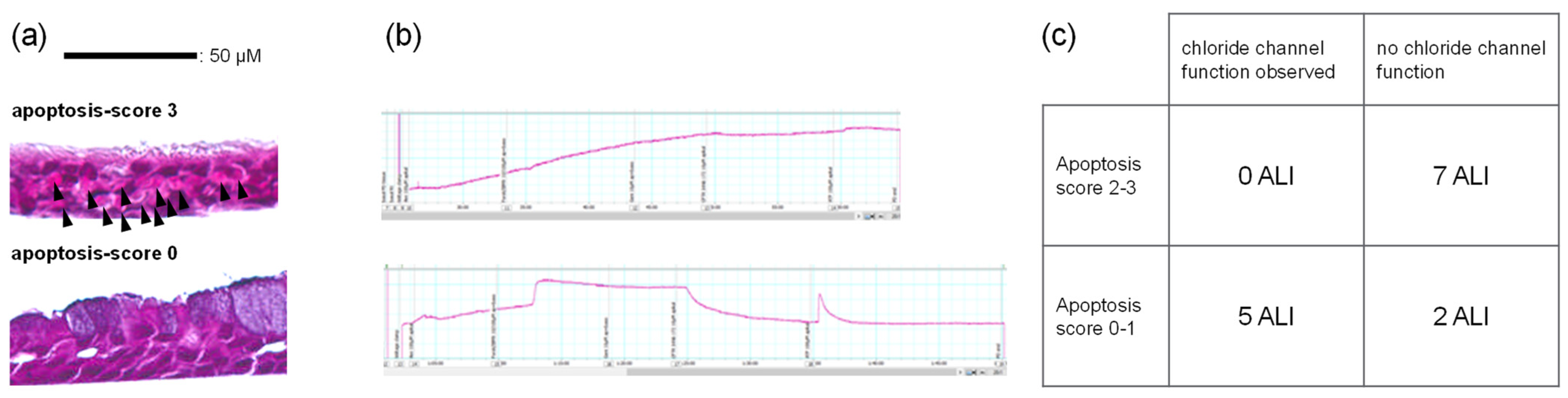 Jpm 16 00540 g006 Jpm 16 00540 g006