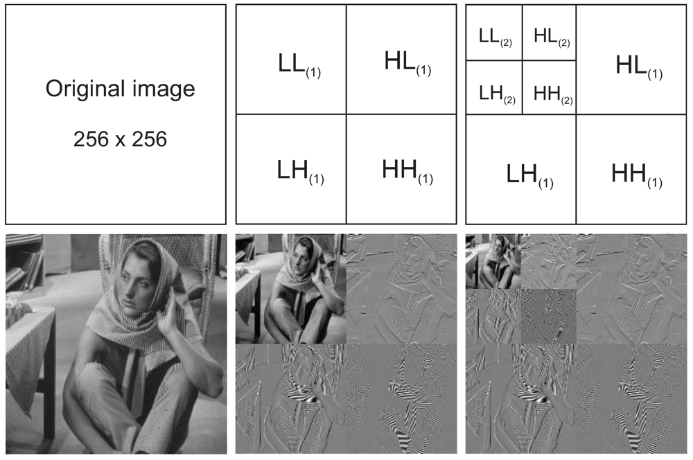 Jsan 01 00003 g003 1024