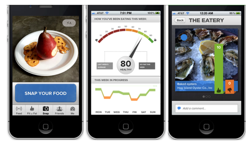 Jsan 01 00217 g012 1024