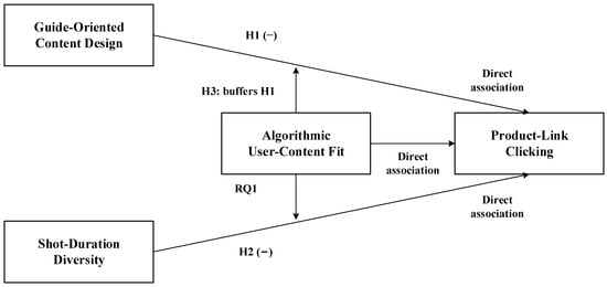 Conceptual framework.