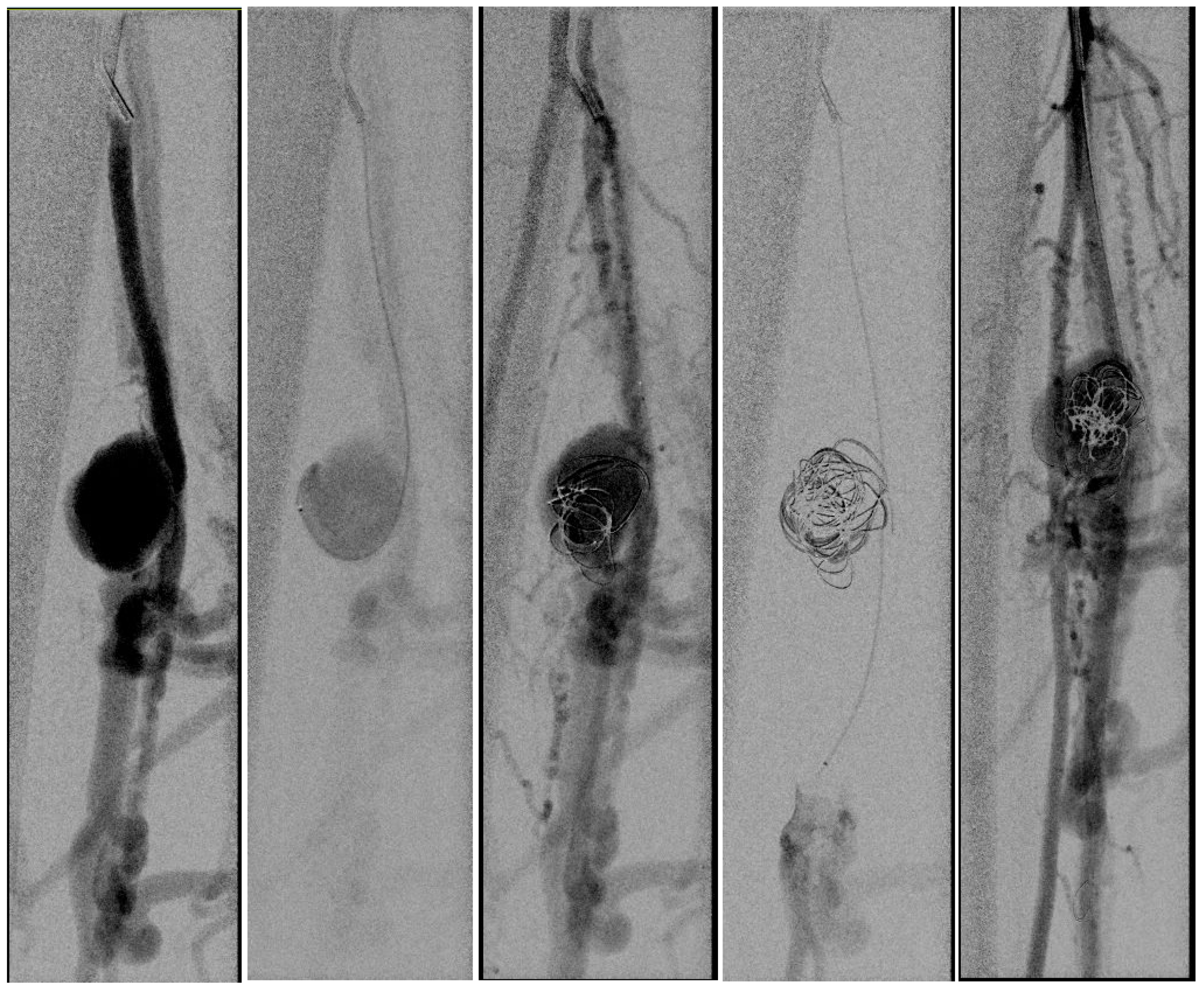 Jvd 05 00006 g002 Jvd 05 00006 g002