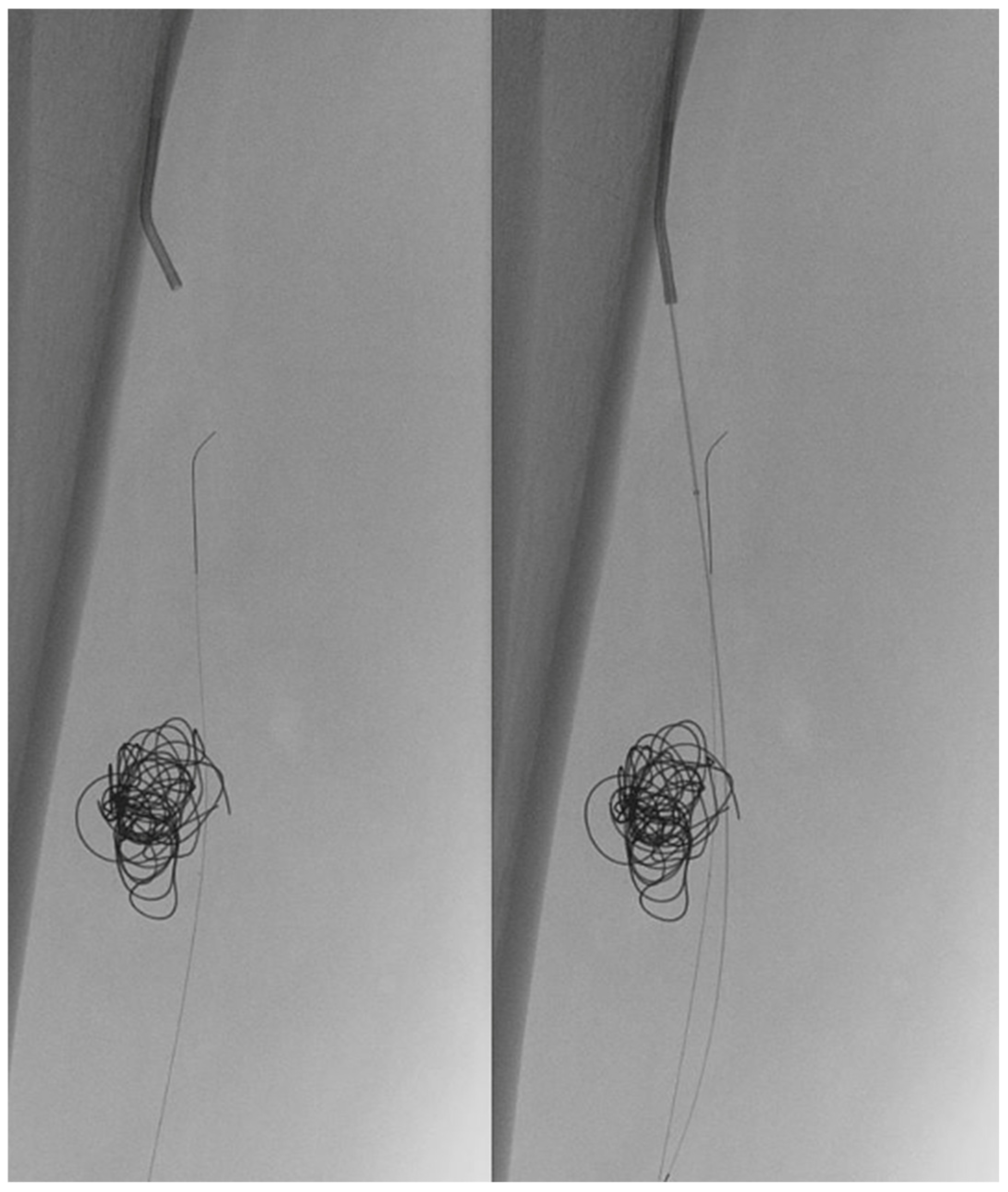 Jvd 05 00006 g003 Jvd 05 00006 g003