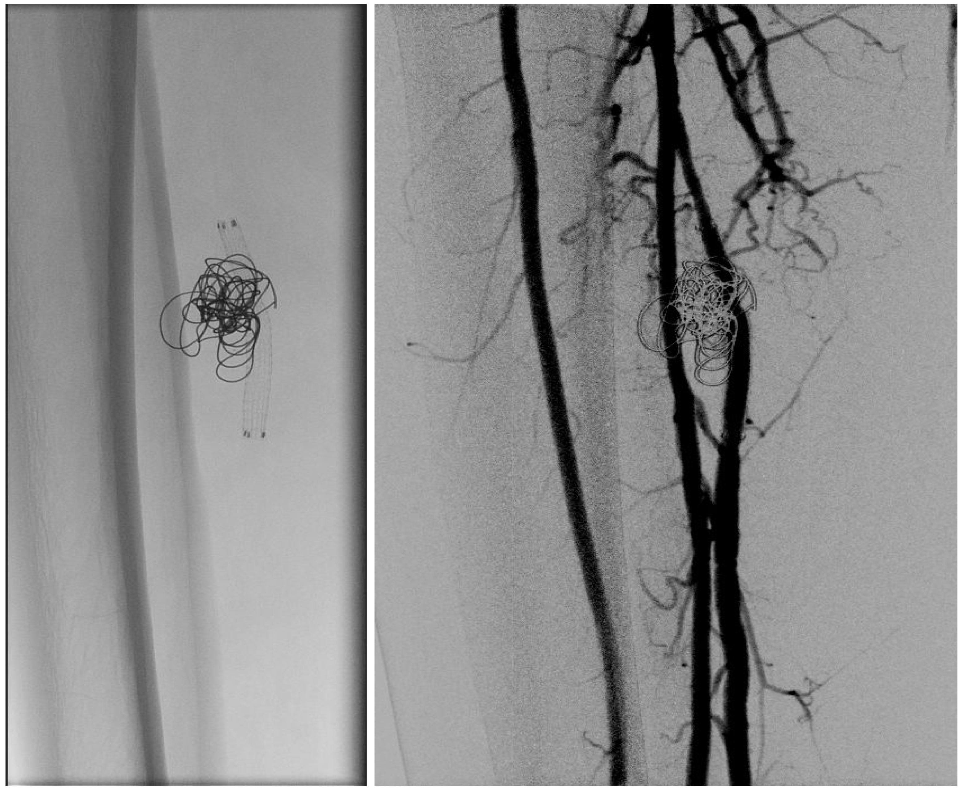 Jvd 05 00006 g004 Jvd 05 00006 g004