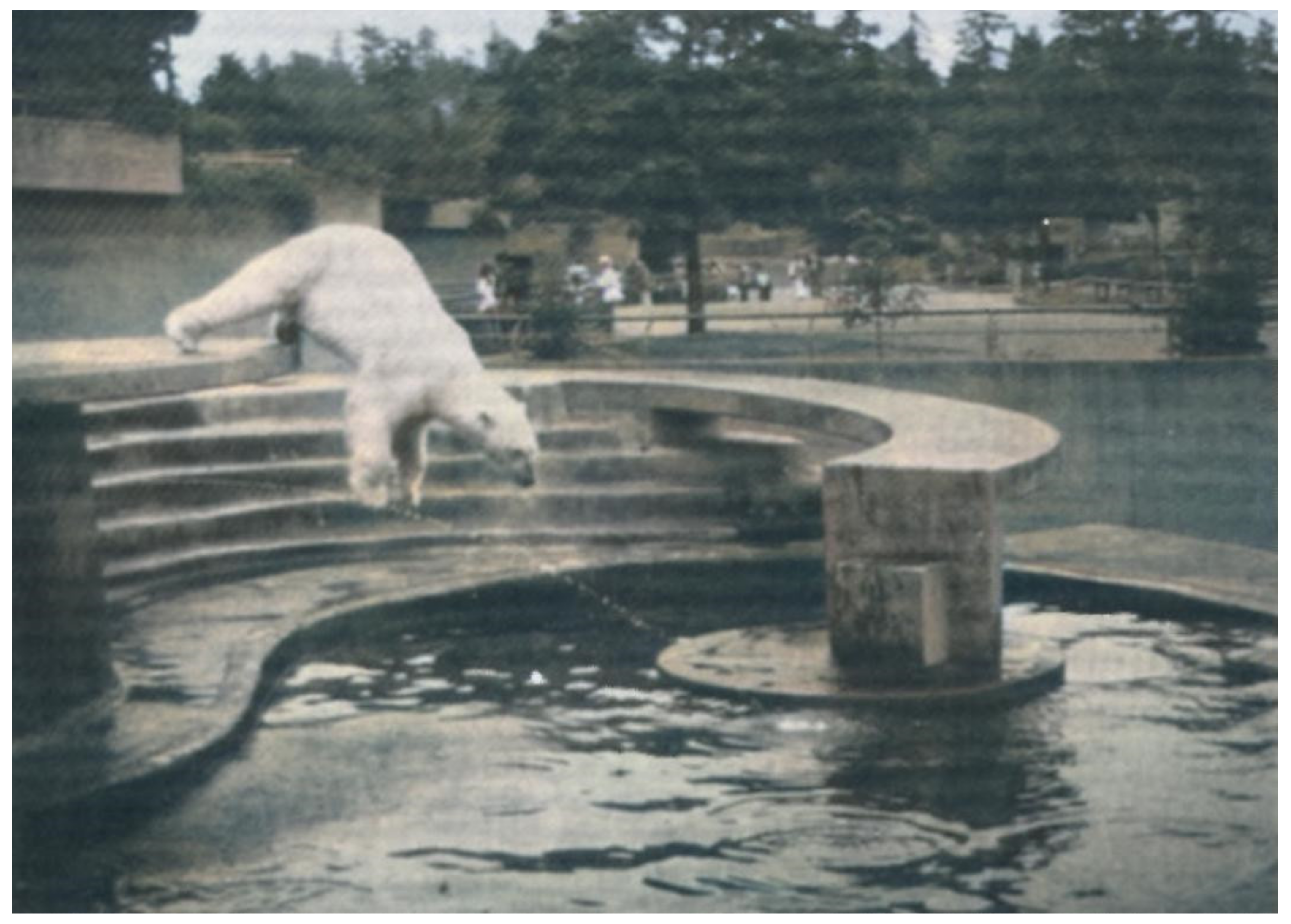 Jzbg 02 00038 g004 Jzbg 02 00038 g004