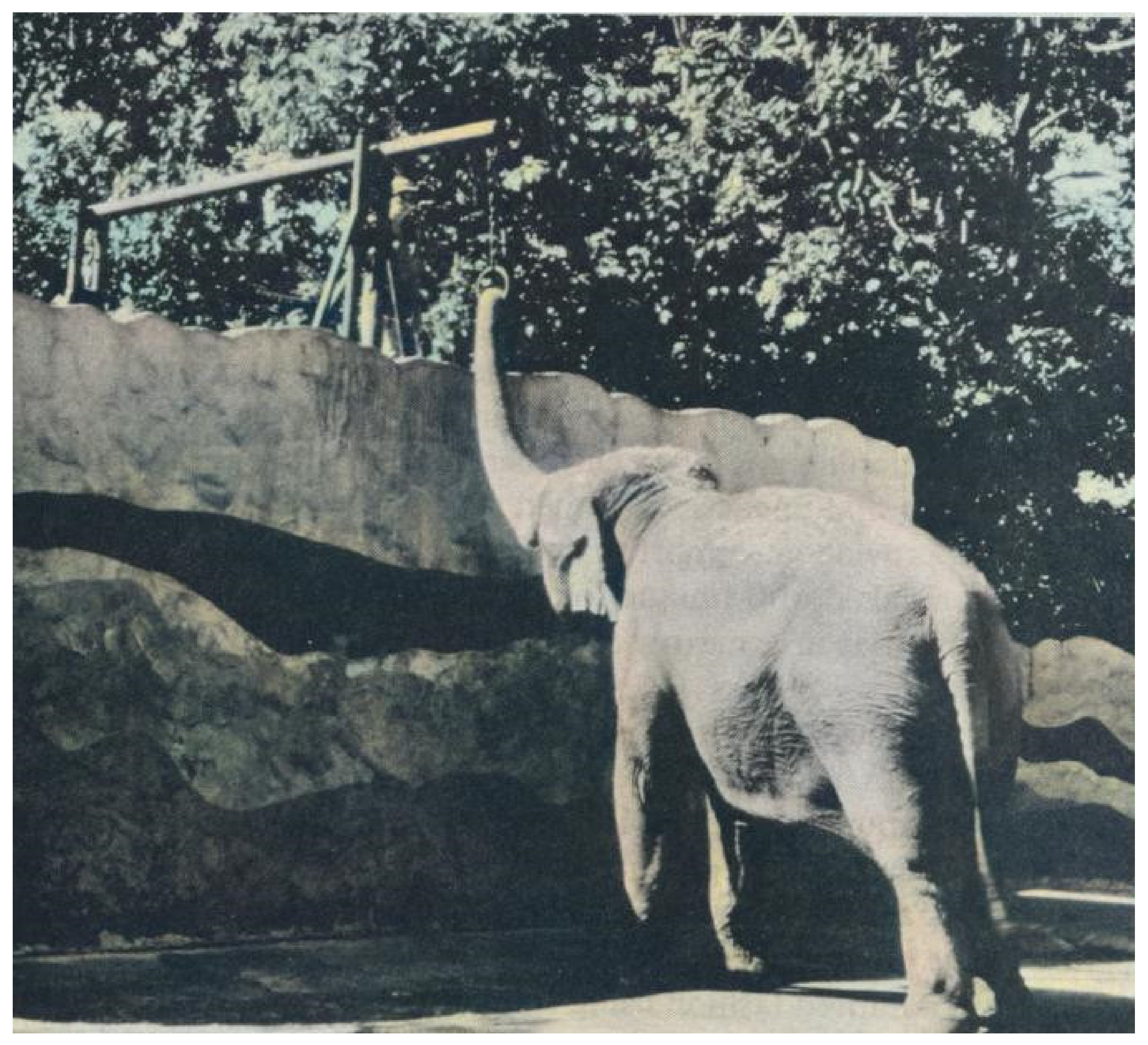 Jzbg 02 00038 g005 Jzbg 02 00038 g005