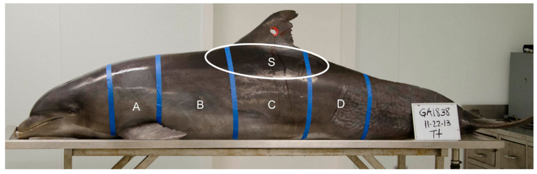 Jzbg 02 00039 g002 Jzbg 02 00039 g002