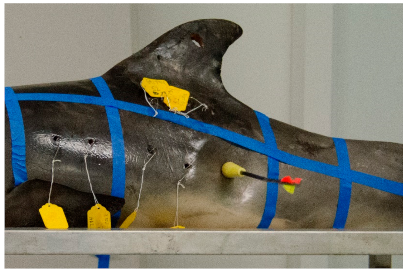 Jzbg 02 00039 g003 Jzbg 02 00039 g003