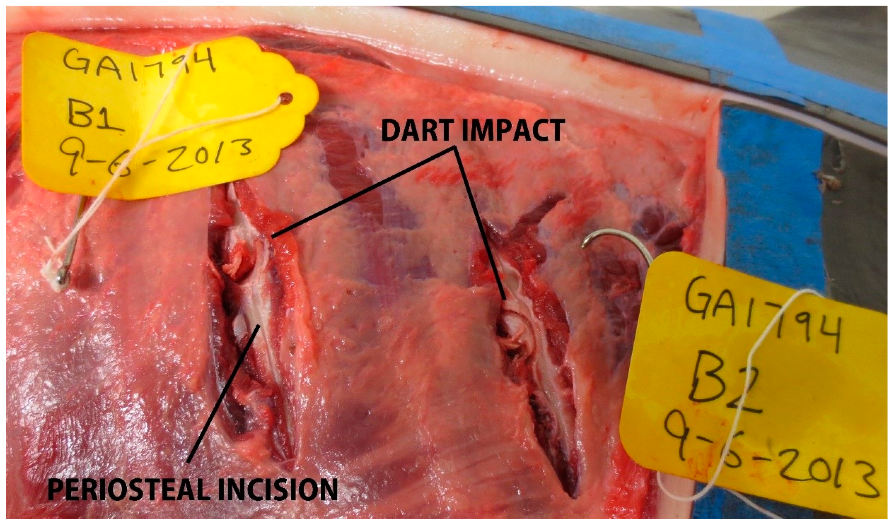 Jzbg 02 00039 g005 Jzbg 02 00039 g005