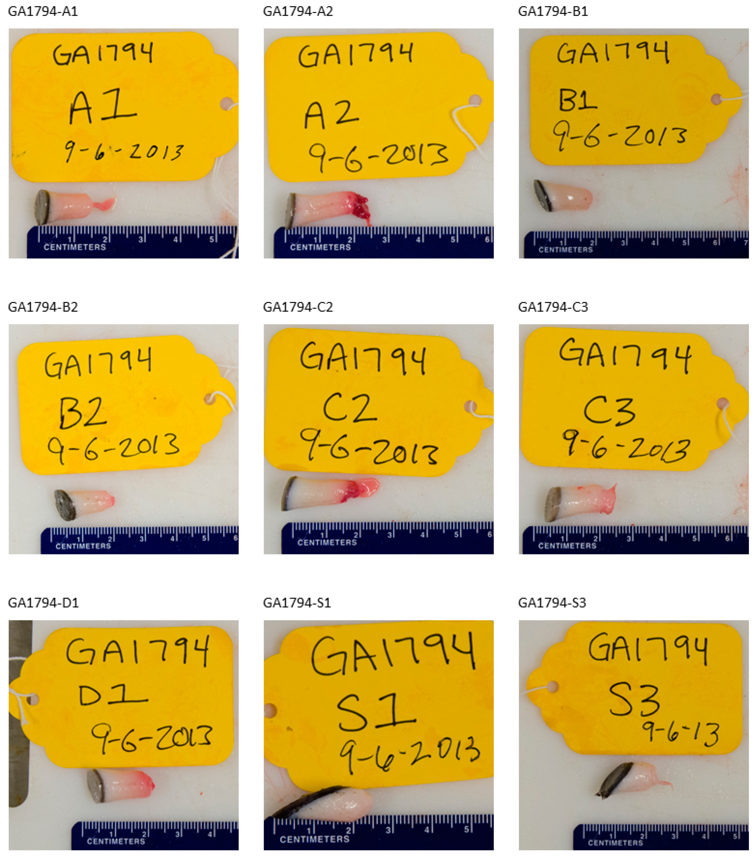 Jzbg 02 00039 g007 Jzbg 02 00039 g007