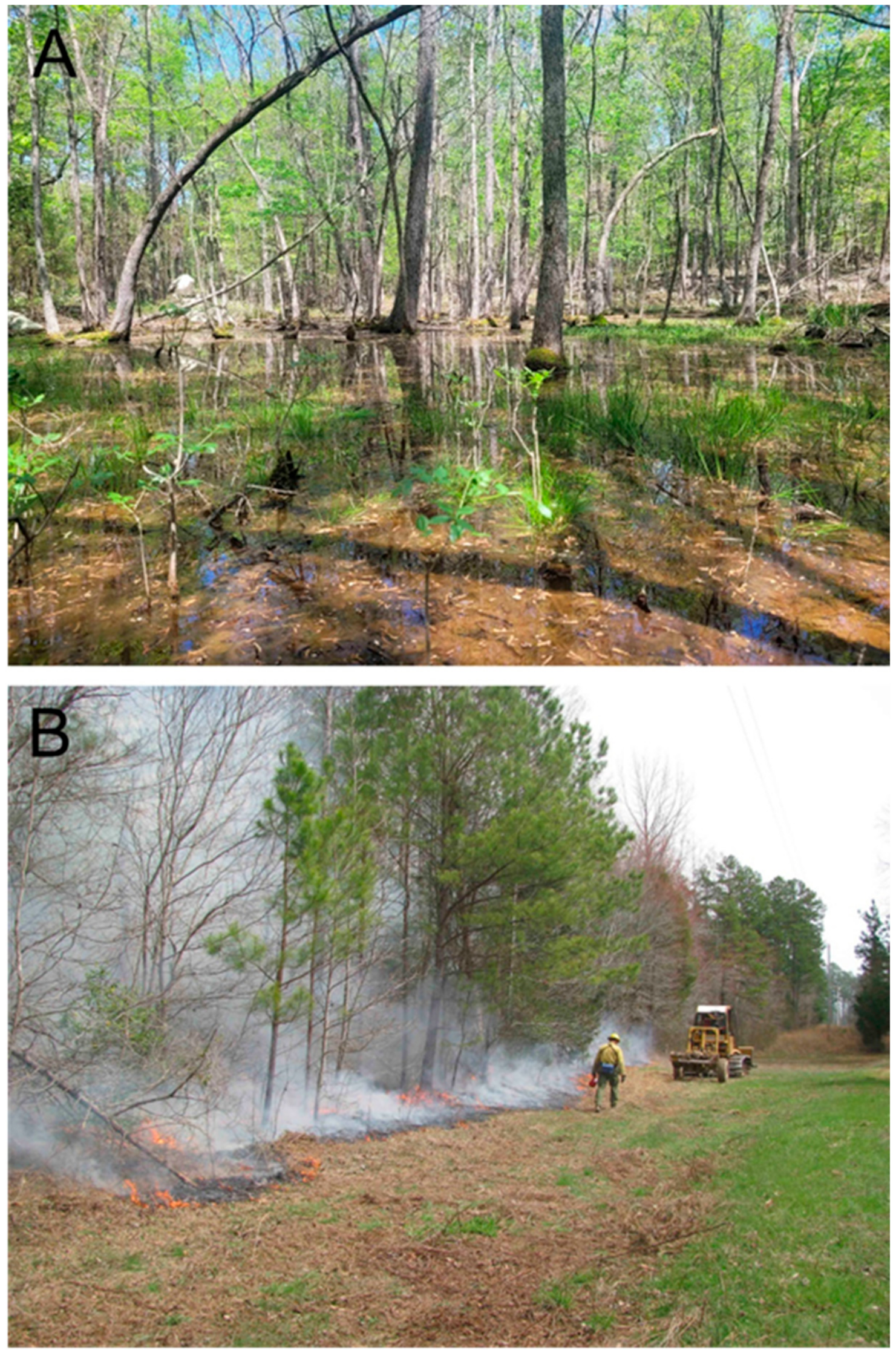 Jzbg 04 00025 g002 Jzbg 04 00025 g002