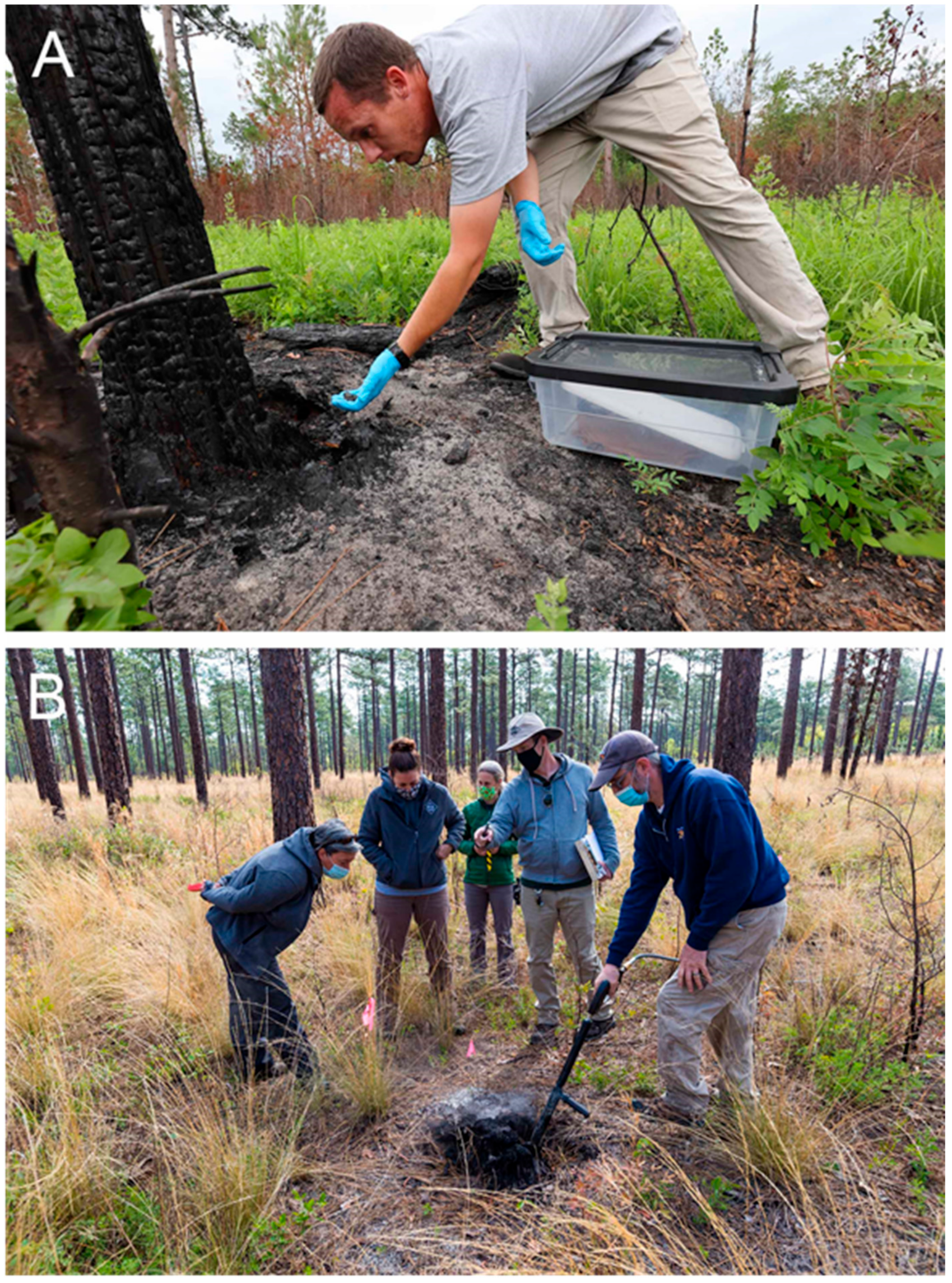 Jzbg 04 00025 g003 Jzbg 04 00025 g003