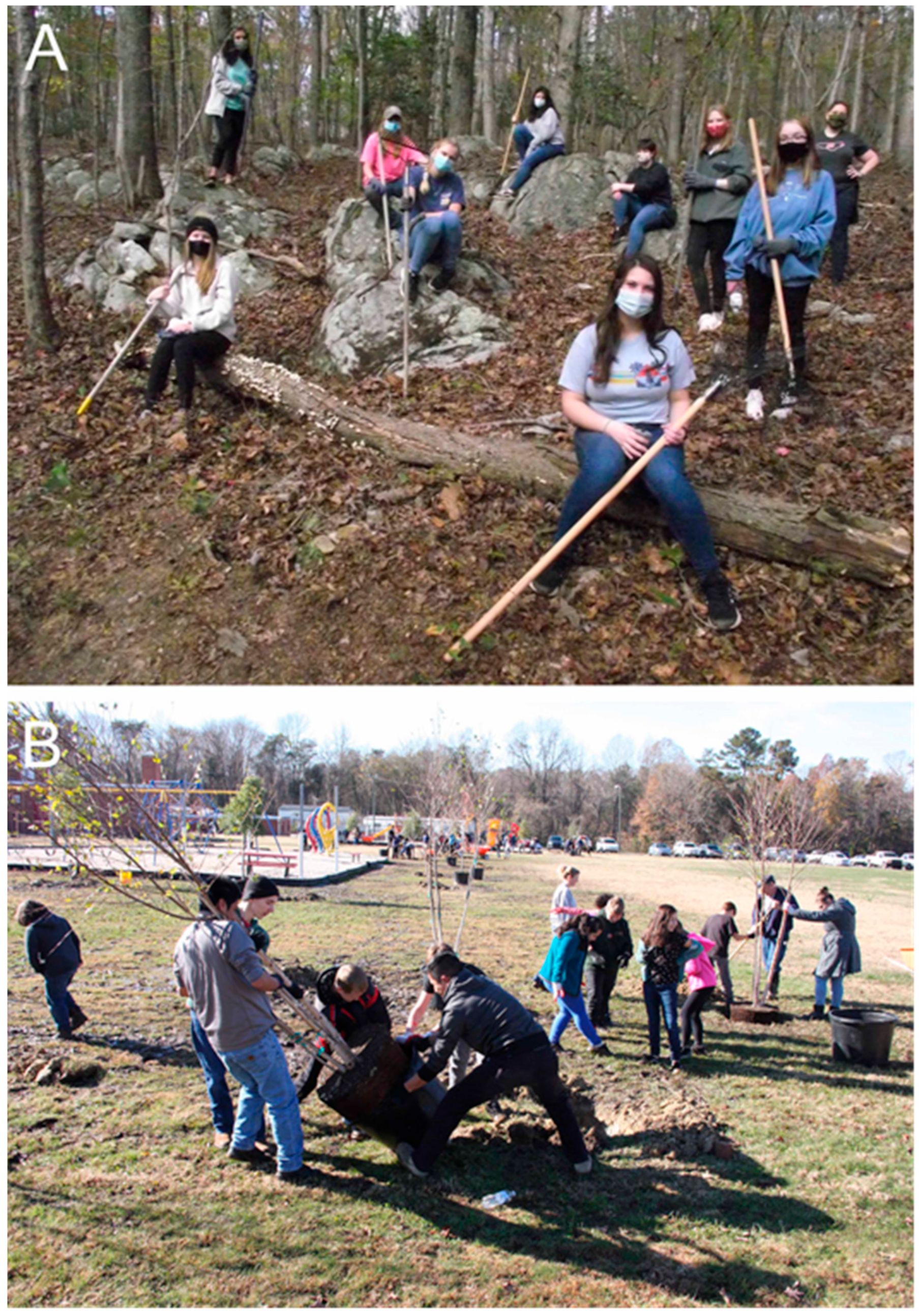 Jzbg 04 00025 g005 Jzbg 04 00025 g005