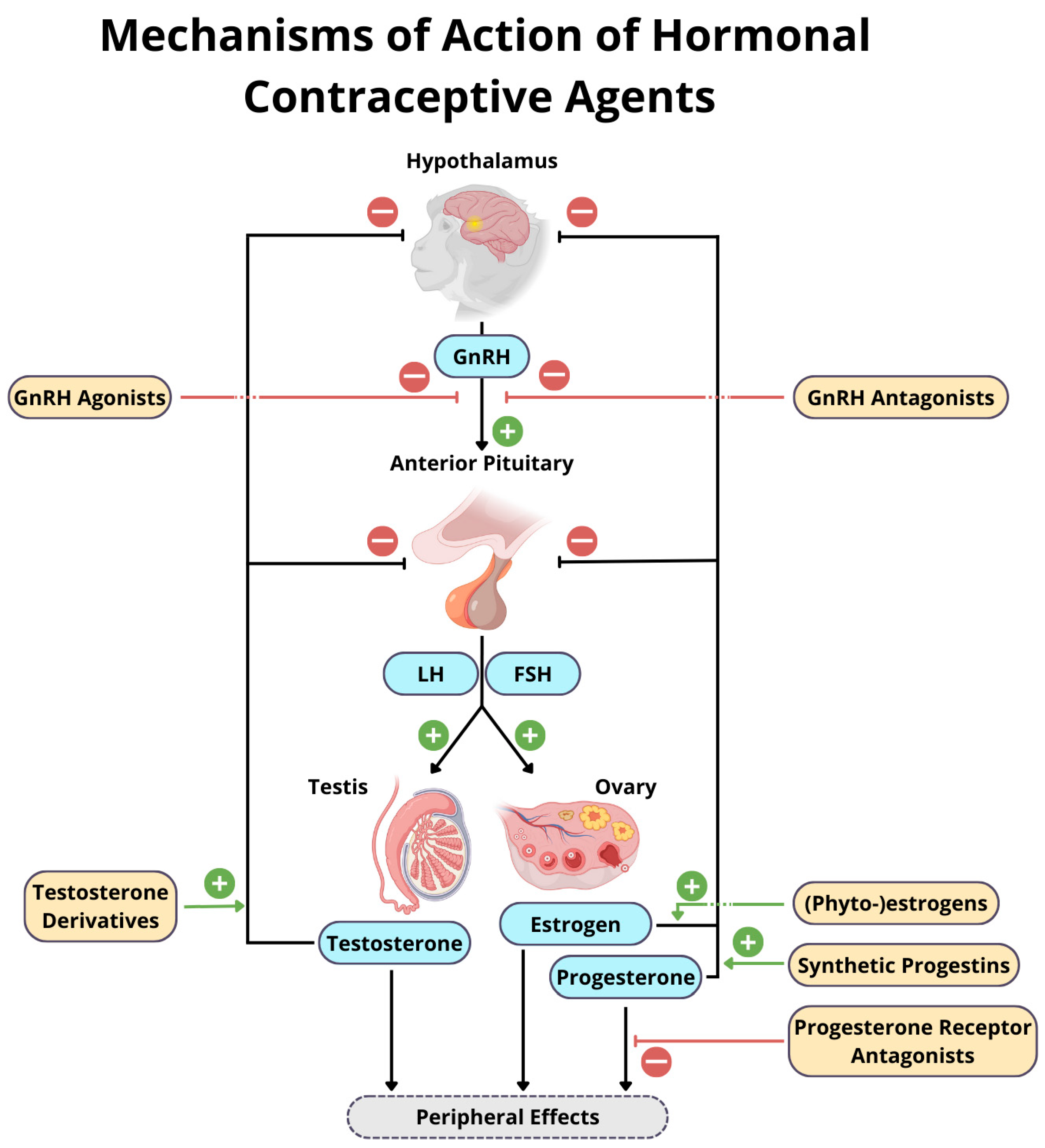 Jzbg 05 00041 g001 Jzbg 05 00041 g001